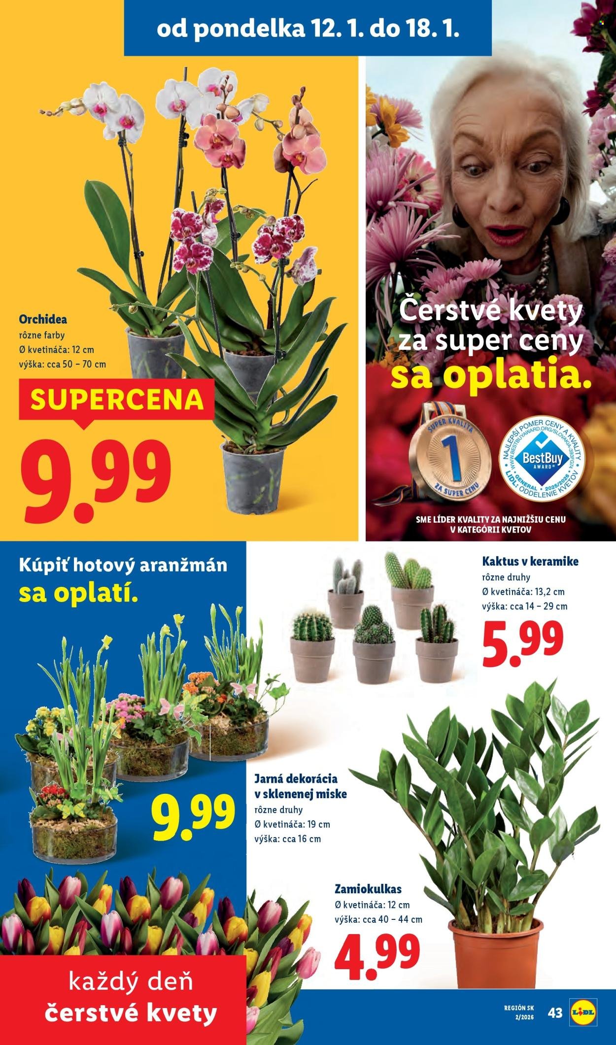 LIDL leták - Od pondelka 12.1.2026 (2026-01-12 - 2026-01-18) | 35