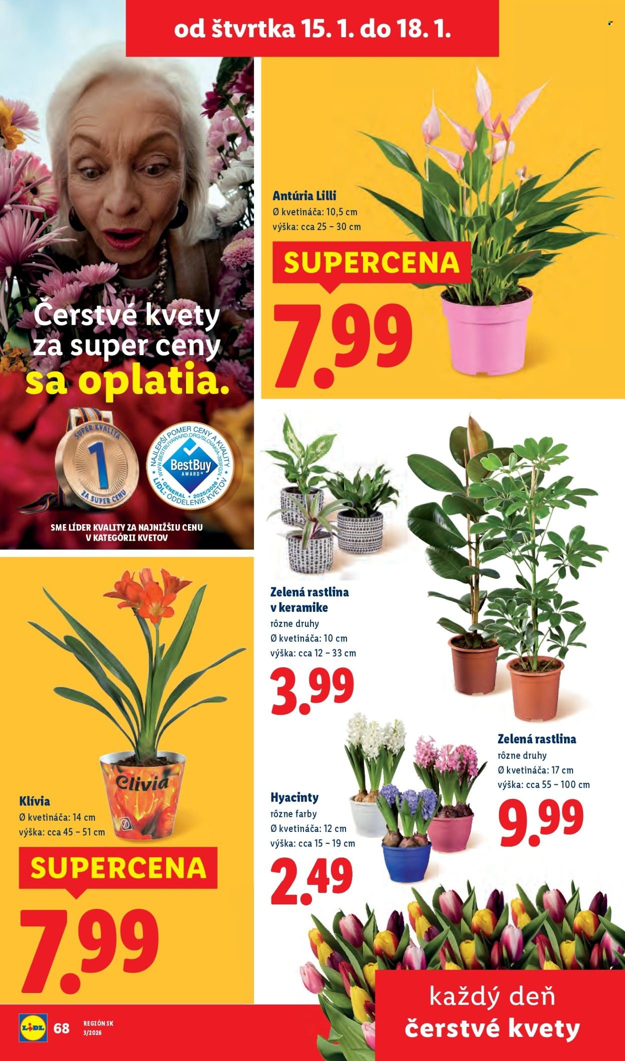 LIDL leták - Od pondelka 12.1.2026 (2026-01-12 - 2026-01-18) | 73