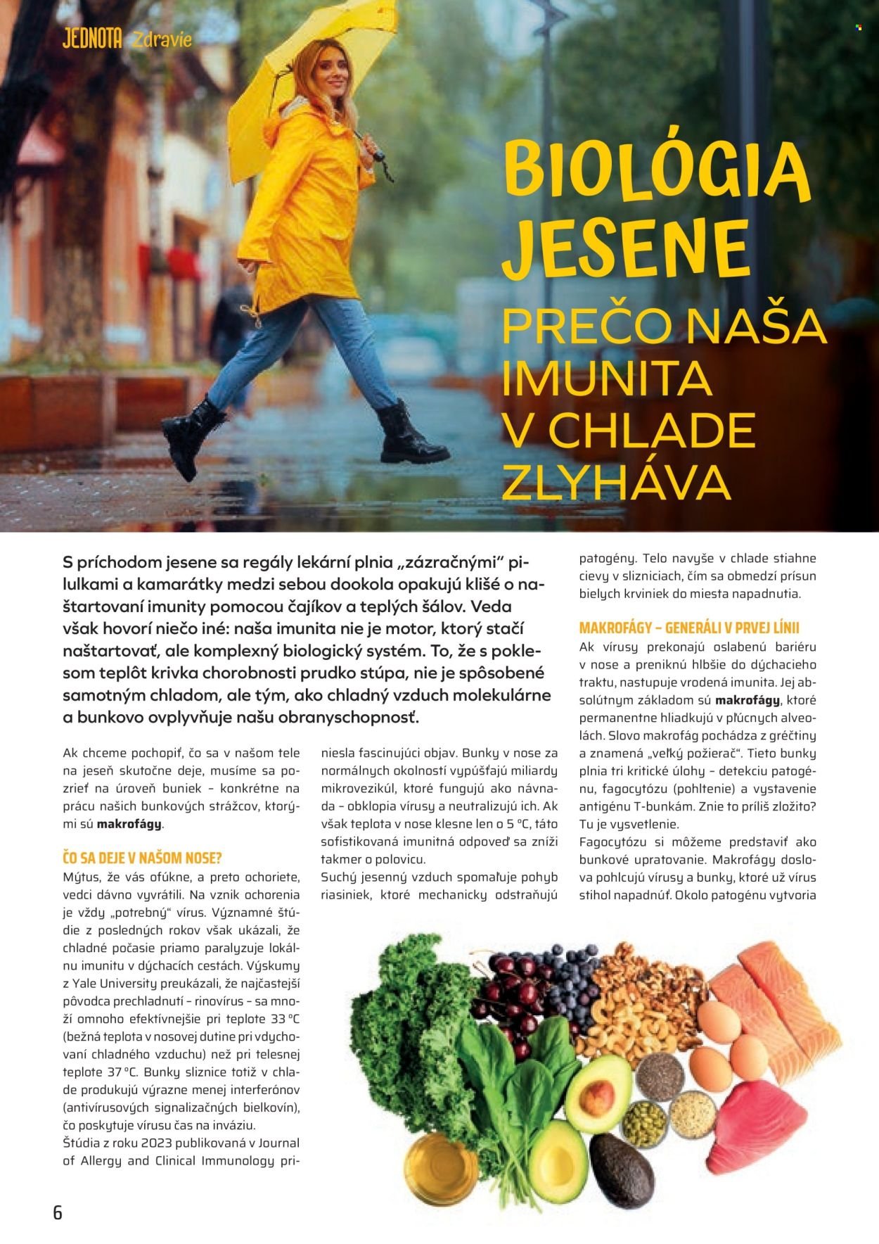 COOP JEDNOTA leták - Od štvrtka 1.10.2026