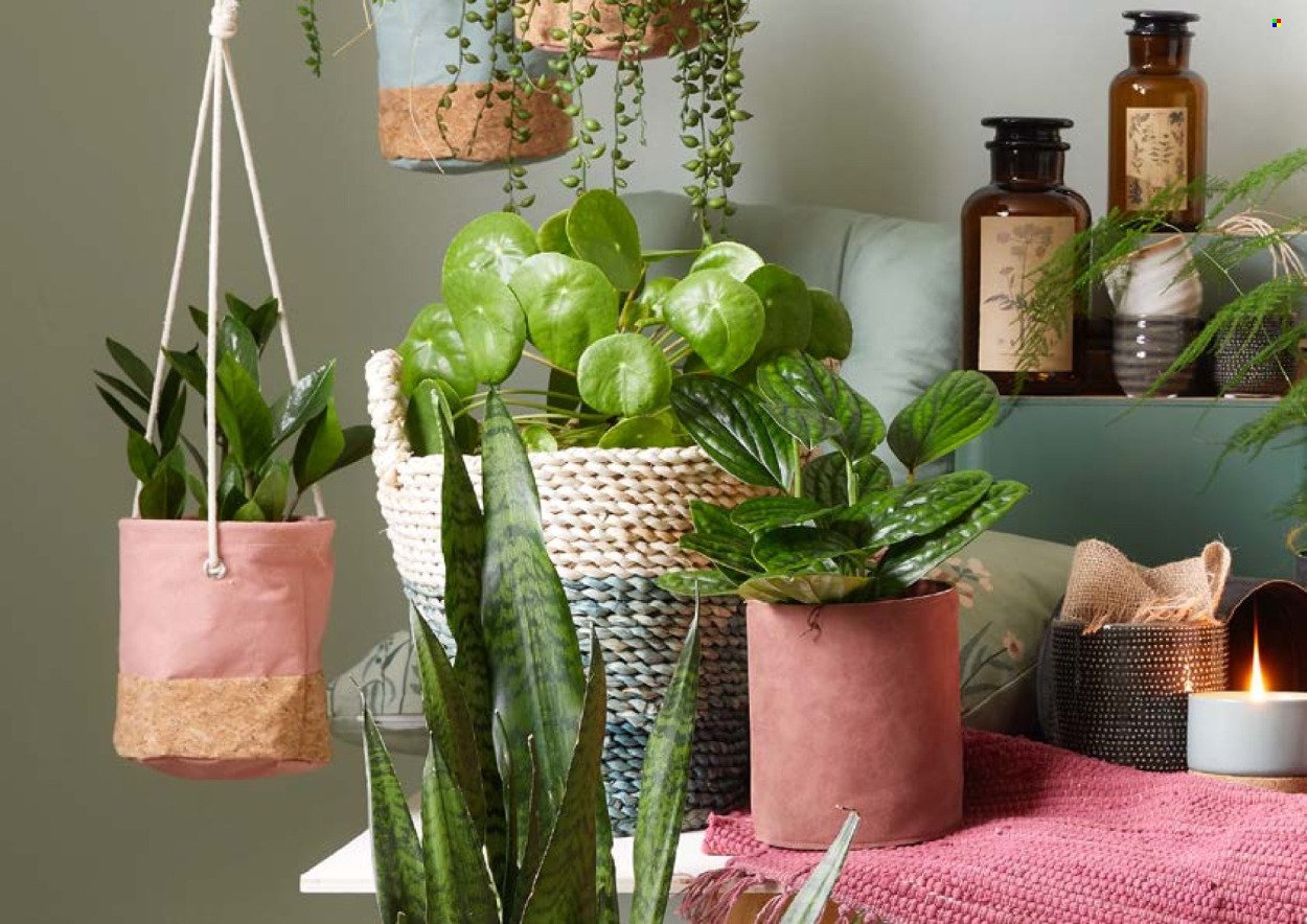 MÖBELIX leták - Katalóg záhradný nábytok (2026-03-01 - 2026-09-30) | 72