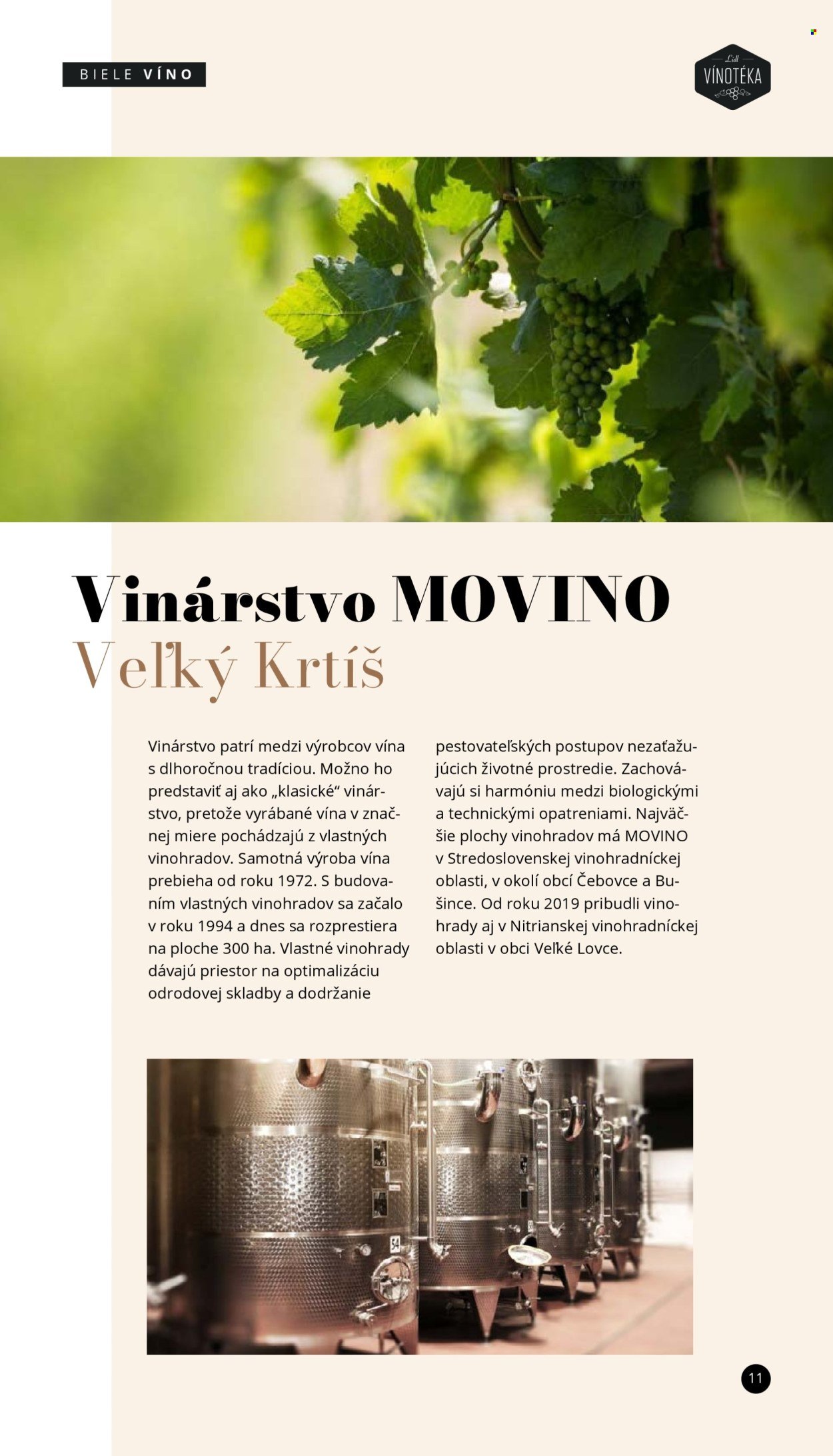 LIDL leták - Objav svet vín s Lidl vínotékou (2025-06-03) | 11