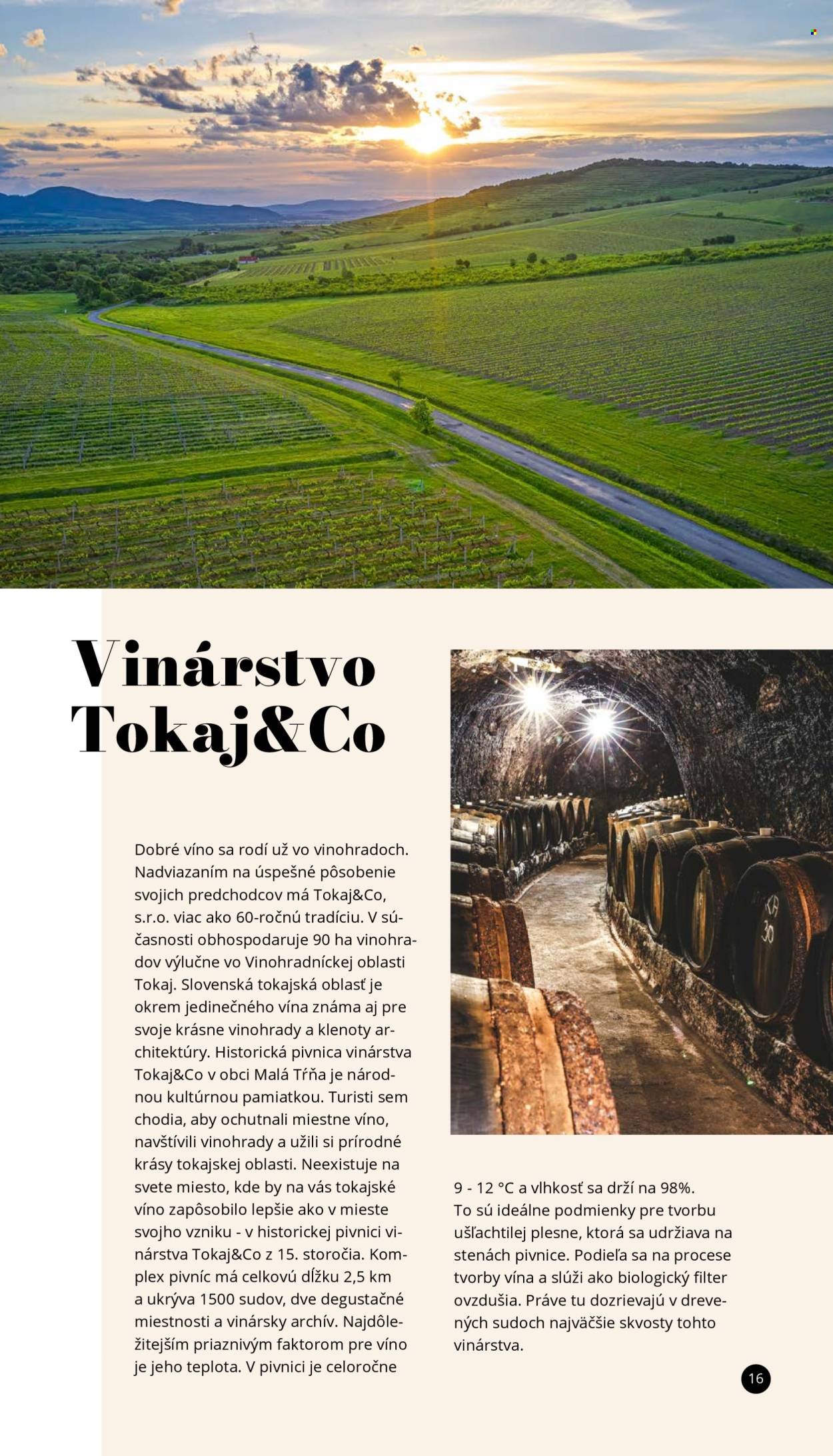 LIDL leták - Objav svet vín s Lidl vínotékou (2025-06-03) | 16