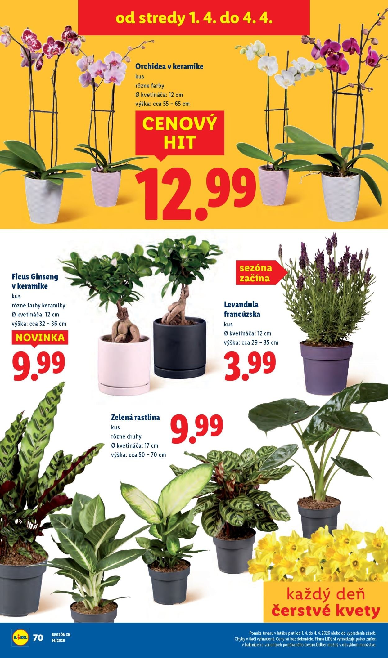 LIDL leták - Od pondelka 30.3.2026 (2026-03-30 - 2026-04-04) | 90