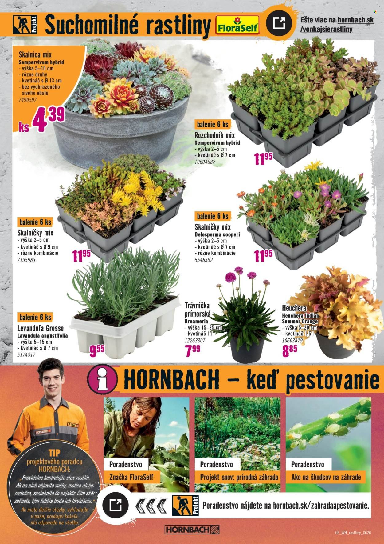 HORNBACH leták - Váš ďalší projekt - Vonkajšie rastliny