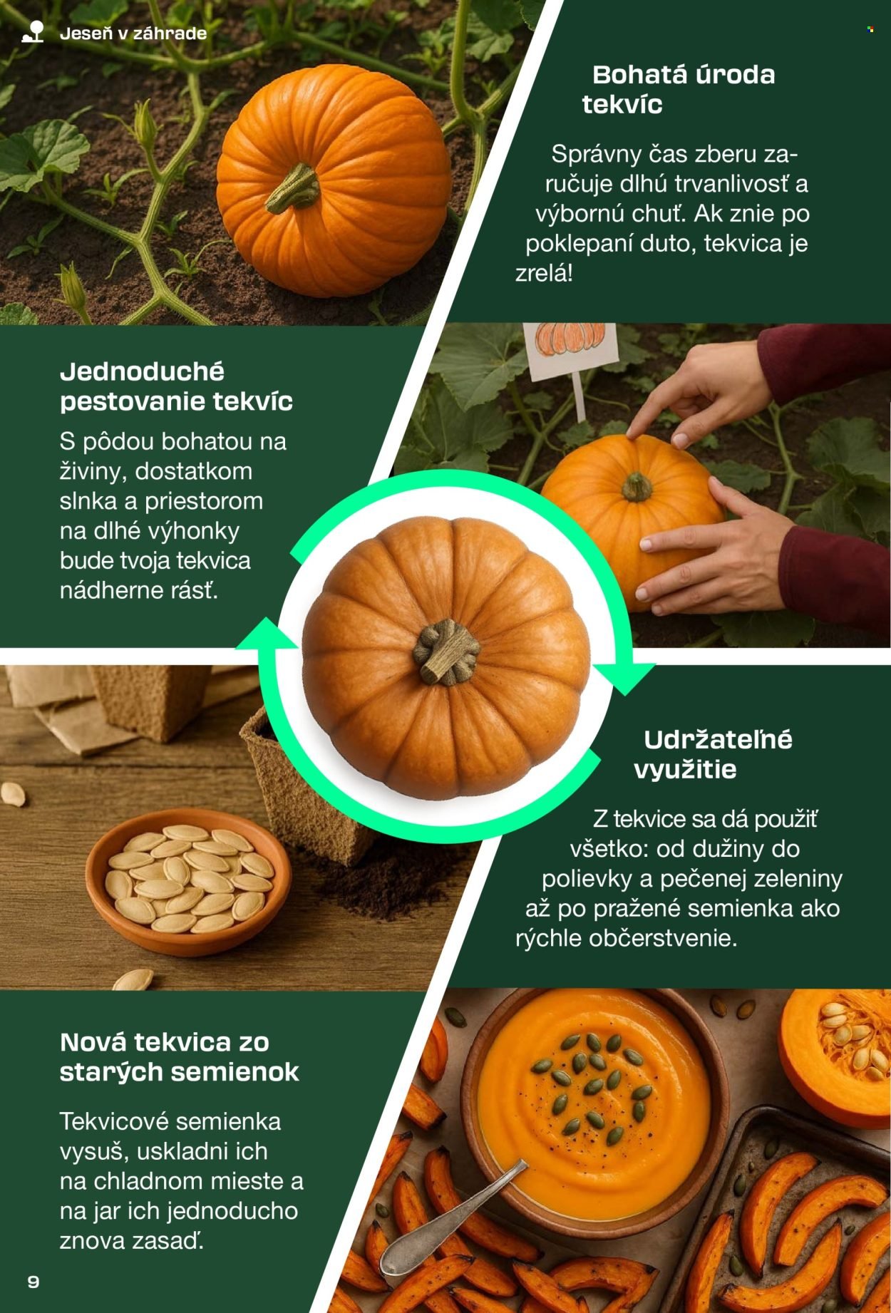 LIDL leták - PARKSIDE DIY magazín (2025-09-14) | 9