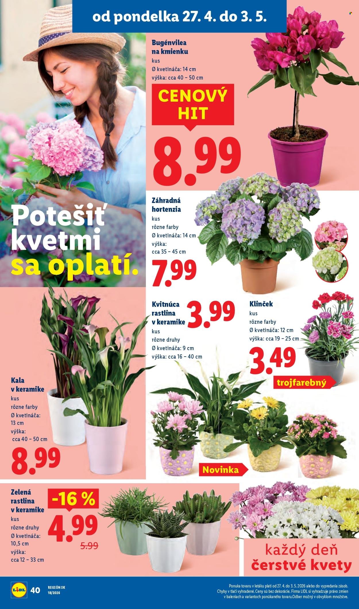 LIDL leták - Od pondelka 27.4.2026 (2026-04-27 - 2026-05-03) | 42