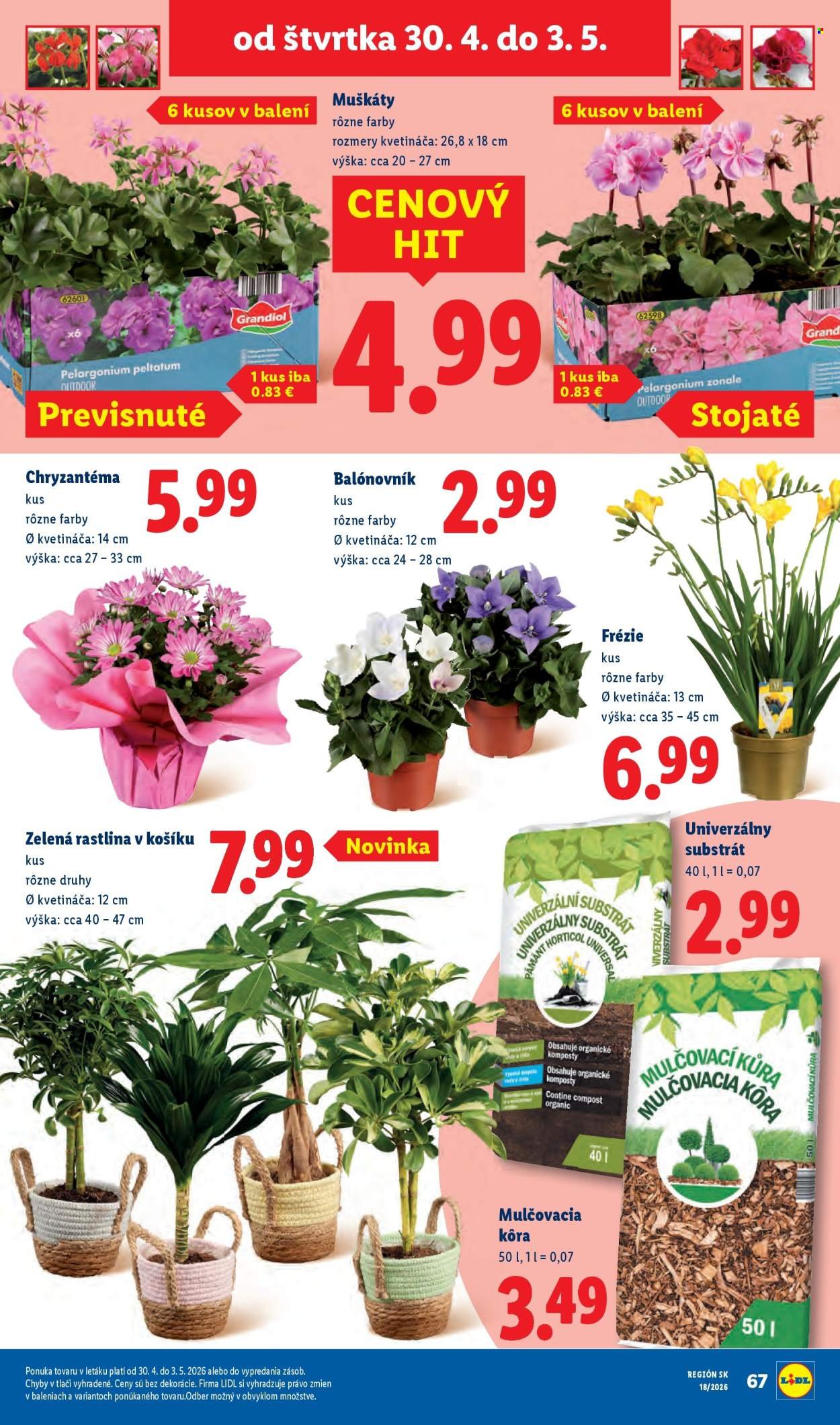 LIDL leták - Od pondelka 27.4.2026 (2026-04-27 - 2026-05-03) | 72