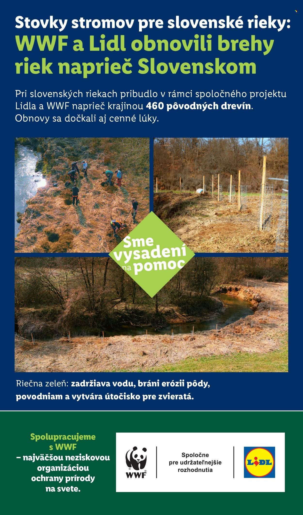 LIDL leták - Od pondelka 27.4.2026 (2026-04-27 - 2026-05-03) | 73