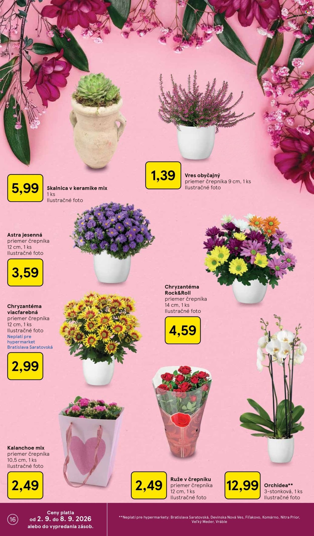 TESCO leták - Od stredy 2.9.2026