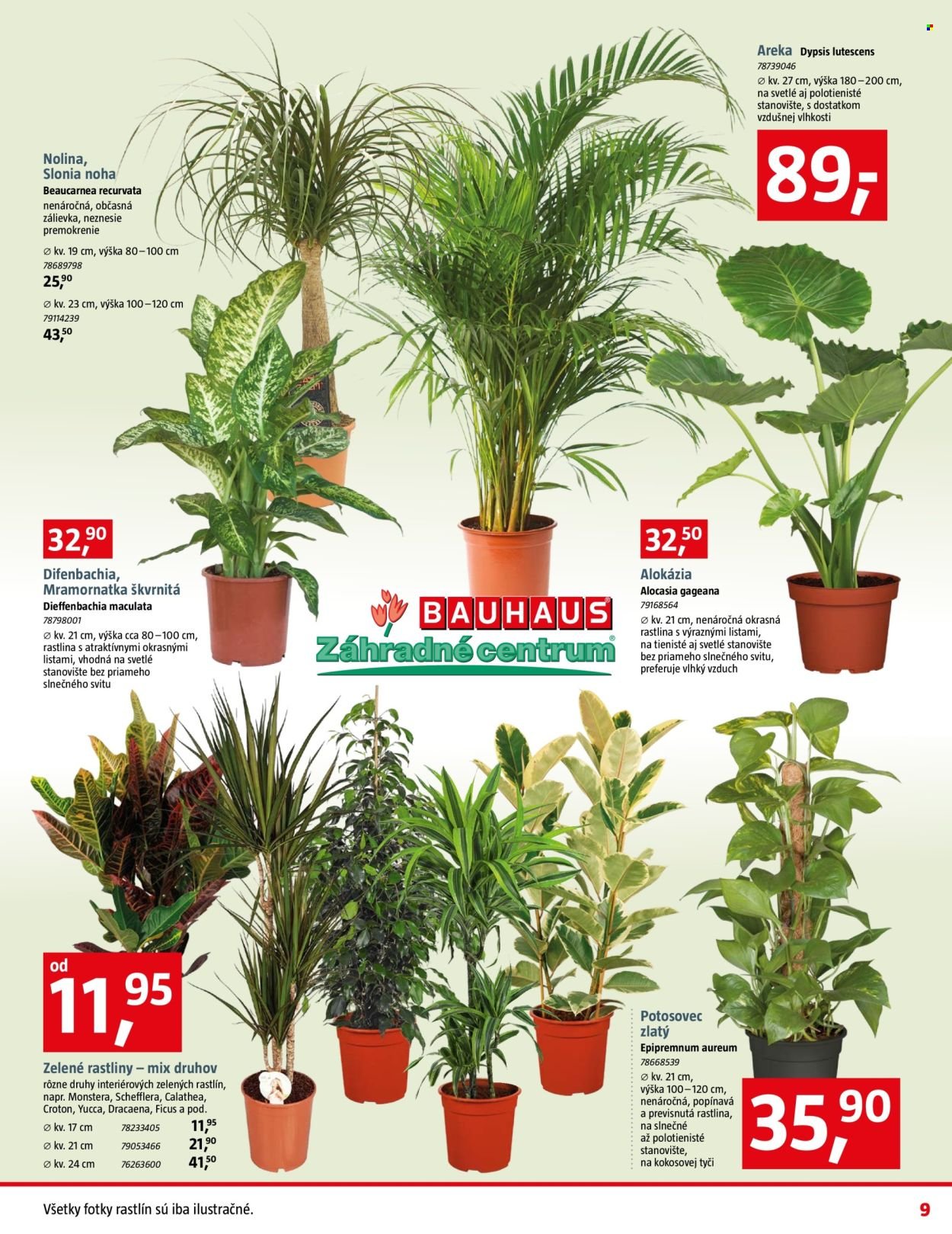 BAUHAUS leták - Aktuálna ponuka (2026-01-12 - 2026-02-08) | 9