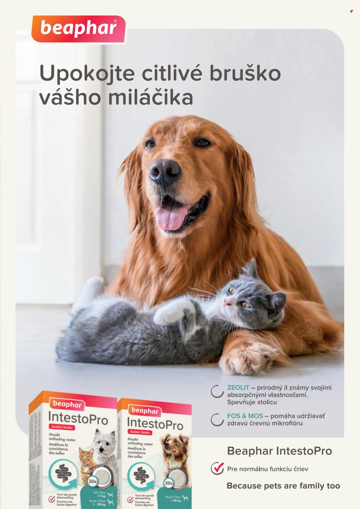 SUPER ZOO leták - septembri 2026