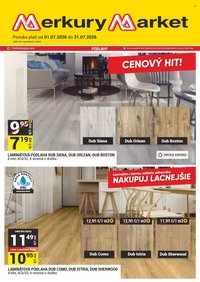 MERKURY MARKET leták - CENOVÝ HIT!