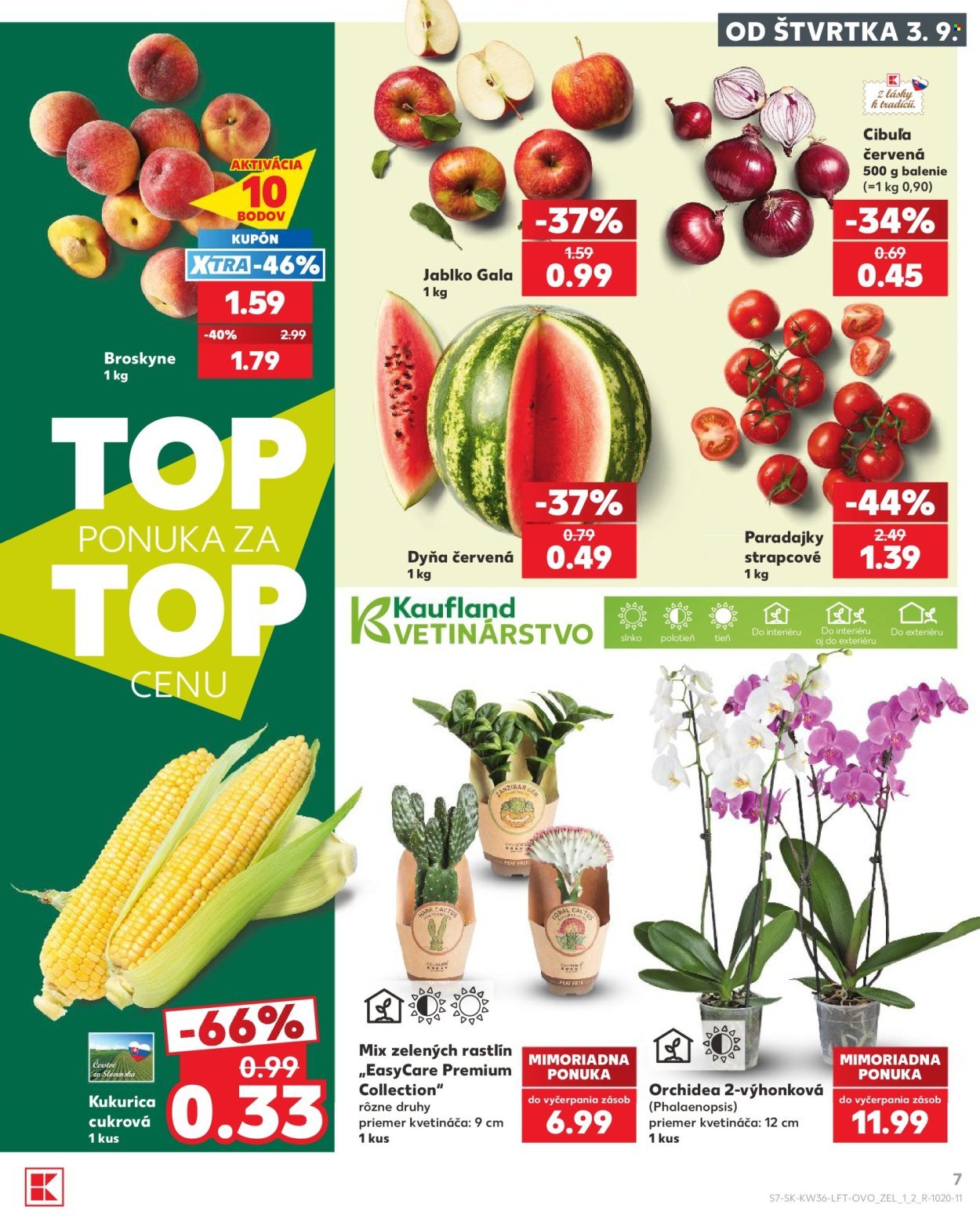 KAUFLAND leták - Od štvrtka 3.9.2026