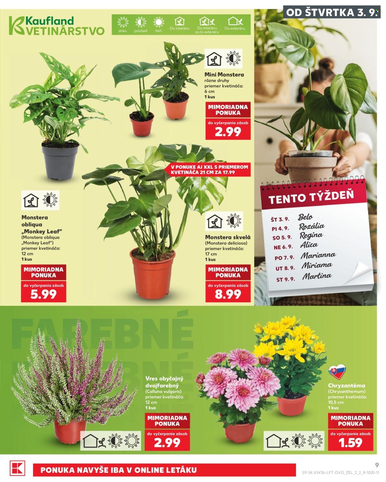 KAUFLAND leták - Od štvrtka 3.9.2026