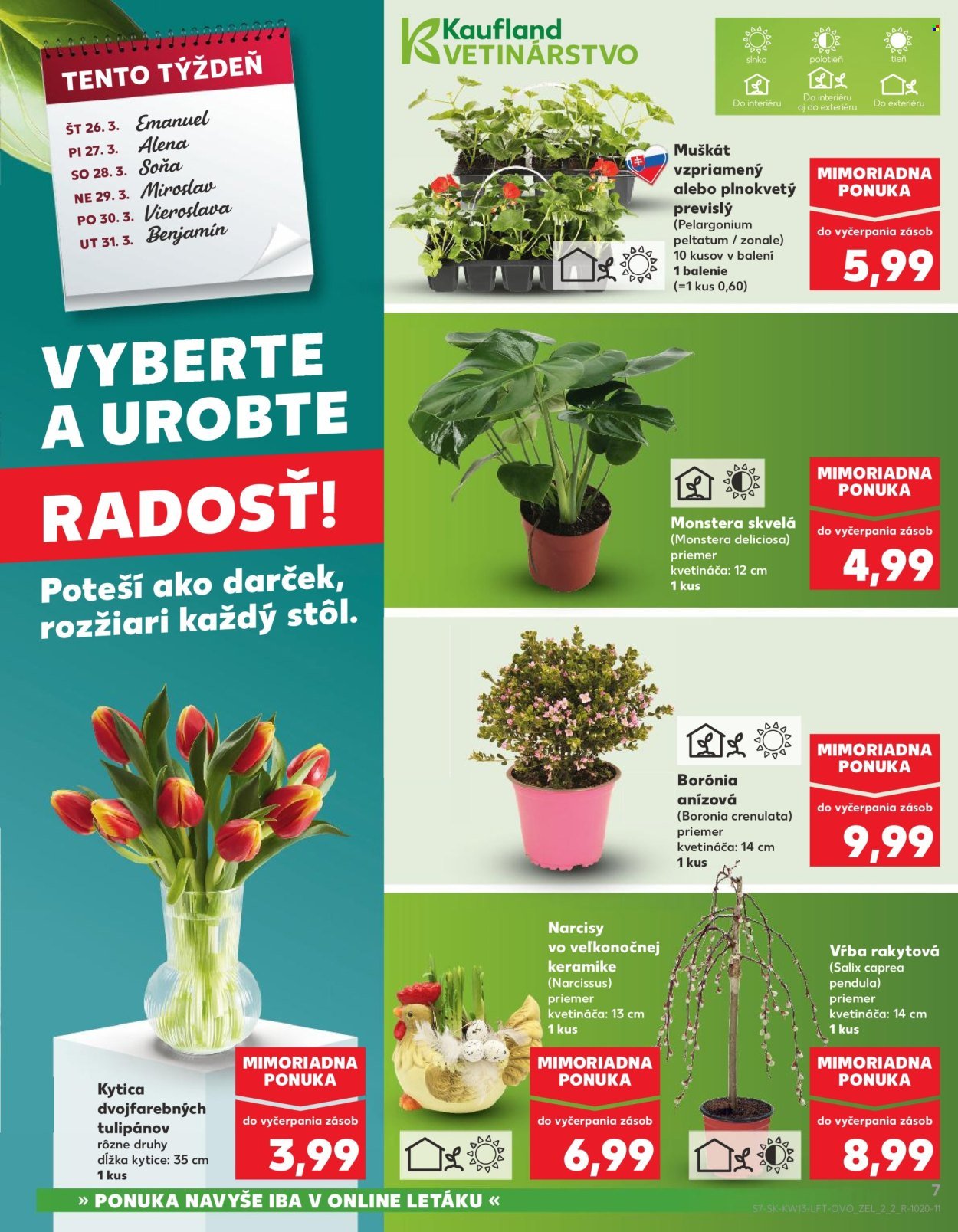 KAUFLAND leták - Od štvrtka 26.3.2026 (2026-03-26 - 2026-03-31) | 7