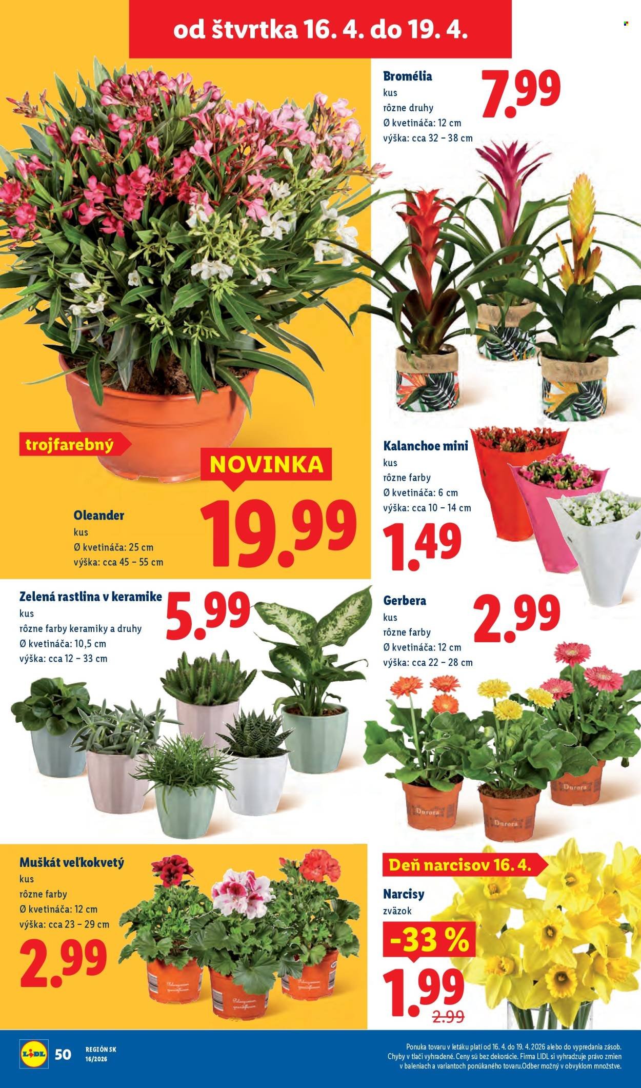 LIDL leták - Od pondelka 13.4.2026 (2026-04-13 - 2026-04-19) | 74