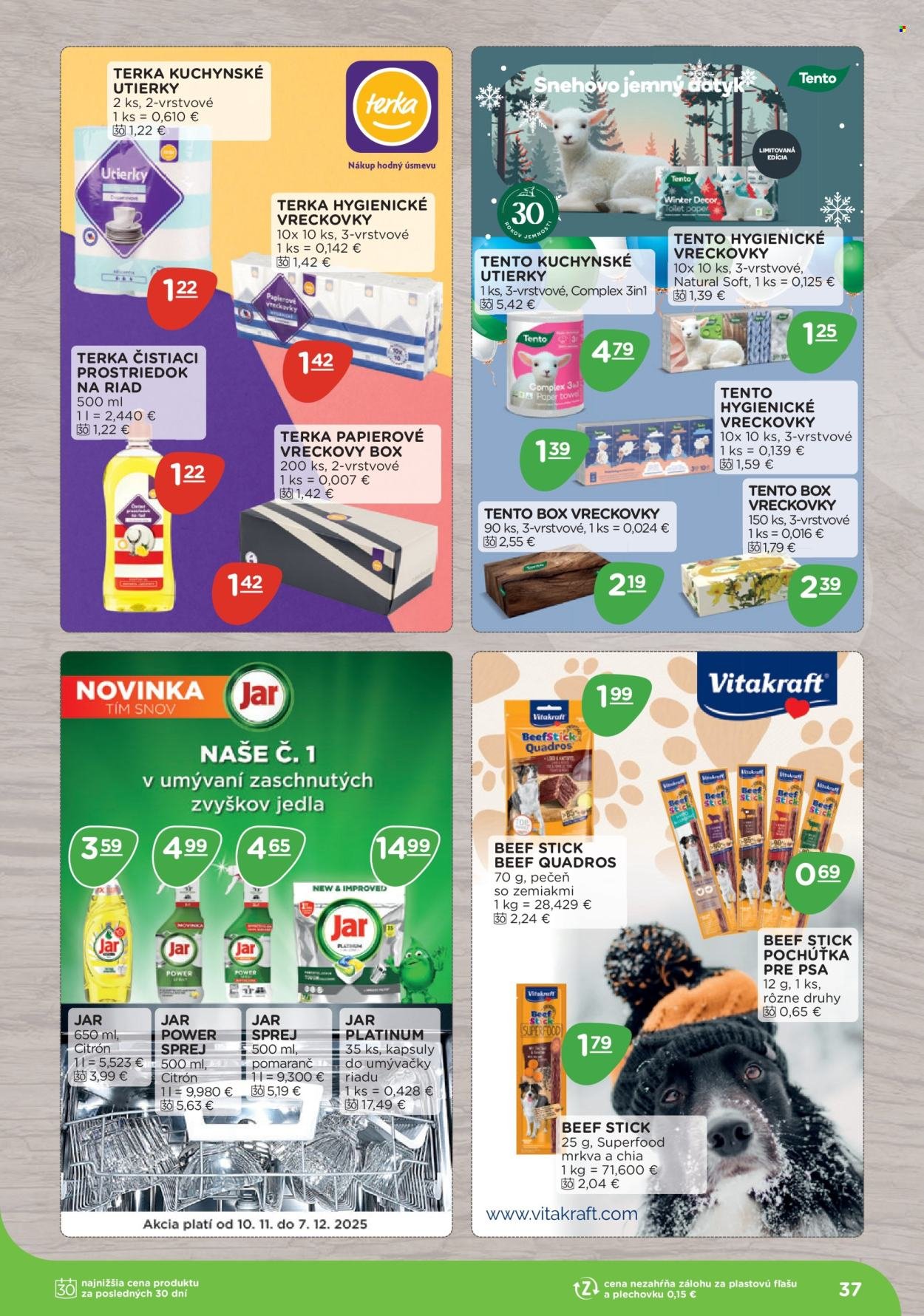 TERNO leták - Zimná letáková ponuka (2025-11-10 - 2025-12-07) | 37