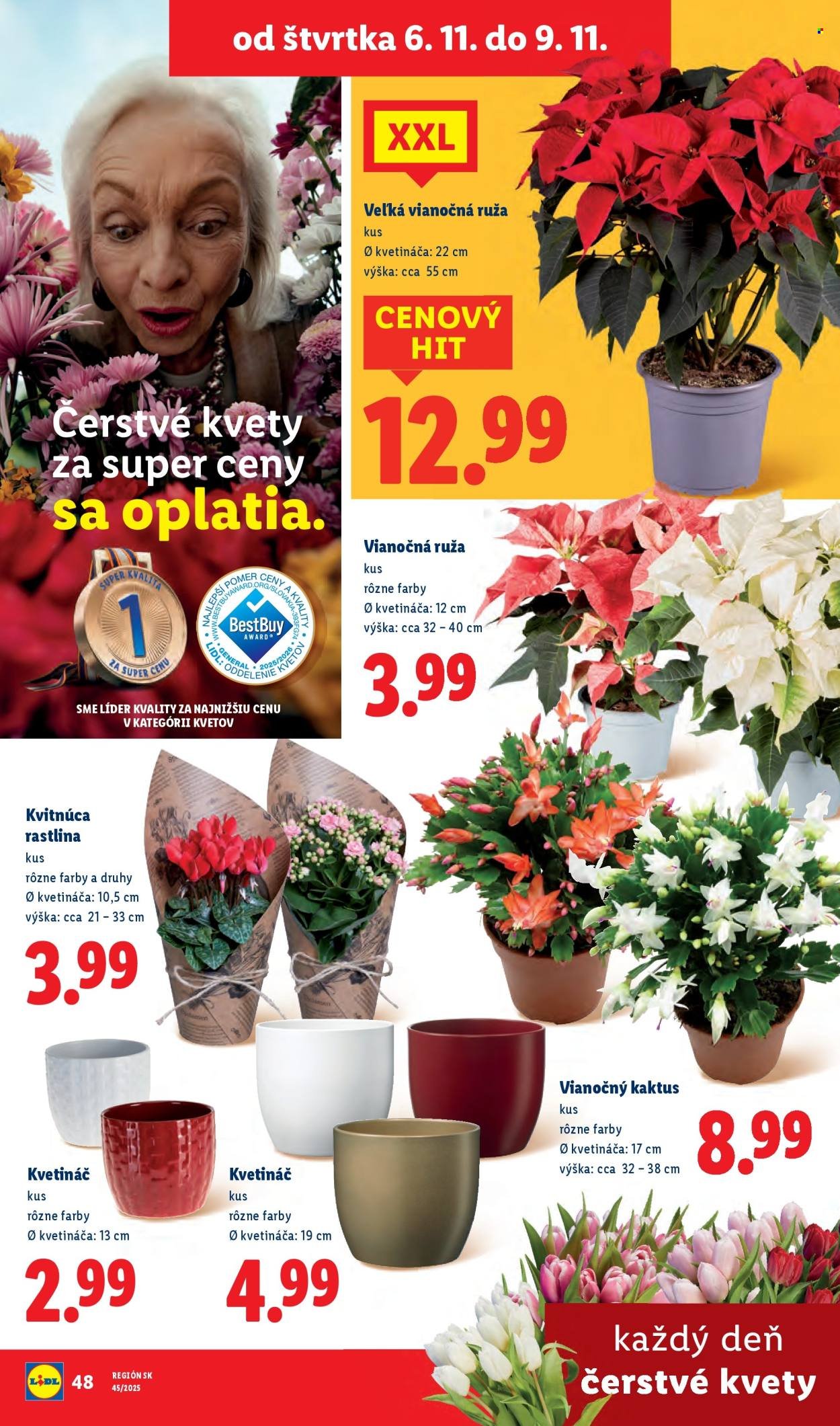 LIDL leták - Od štvrtka 6.11.2025 (2025-11-06 - 2025-11-09) | 33