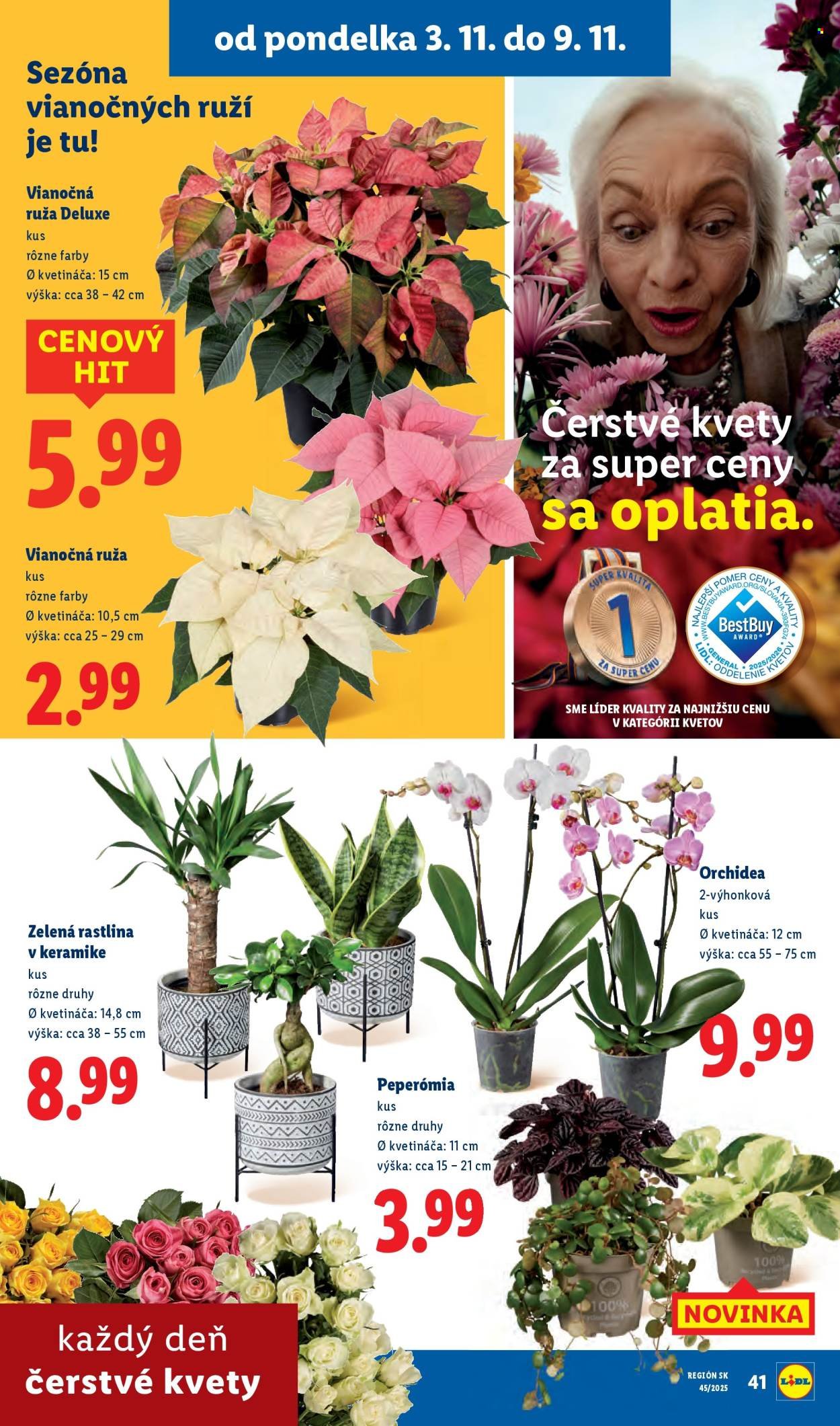 LIDL leták - Od štvrtka 6.11.2025 (2025-11-06 - 2025-11-09) | 79