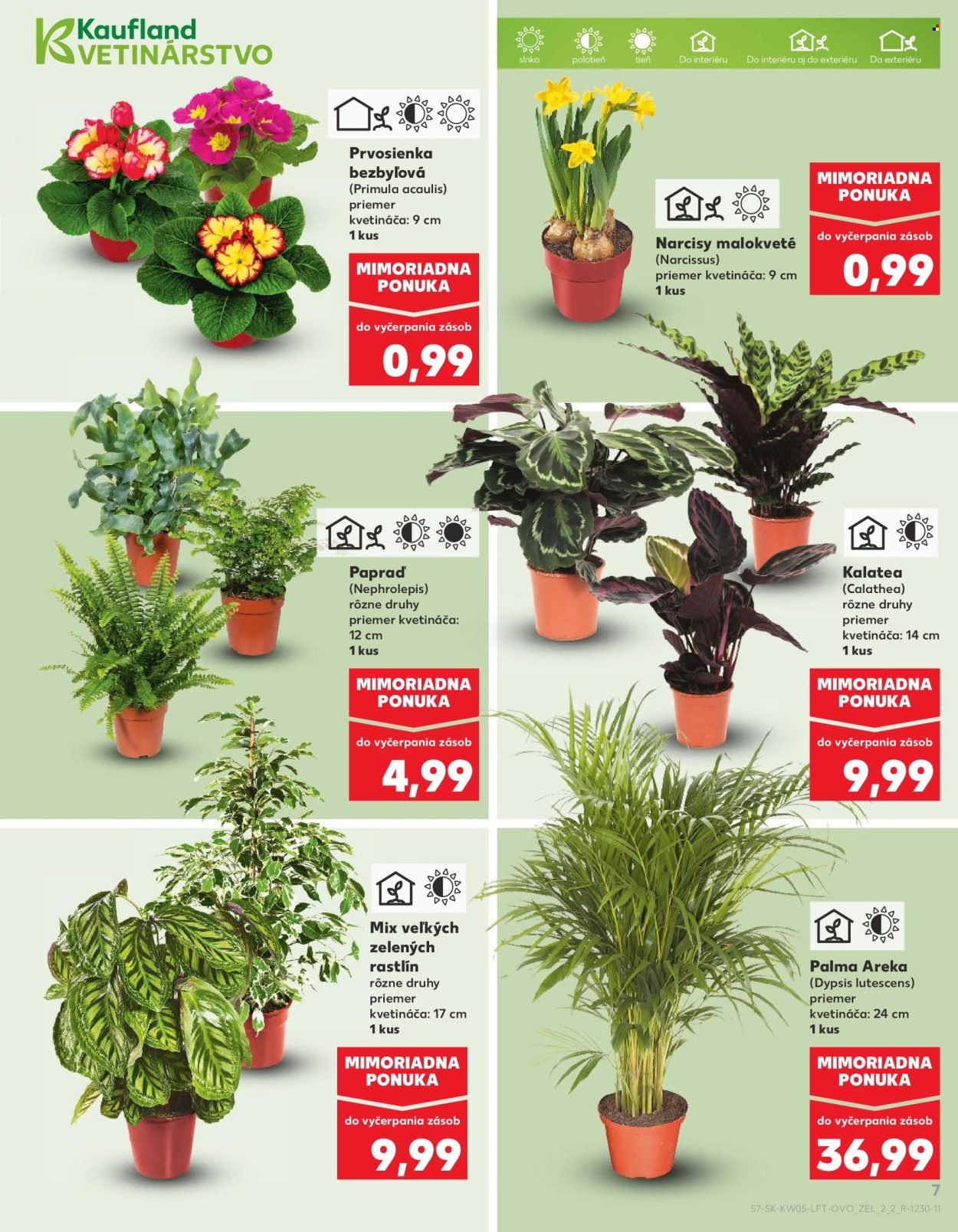 KAUFLAND leták - Od štvrtka 29.1.2026 (2026-01-29 - 2026-02-04) | 7
