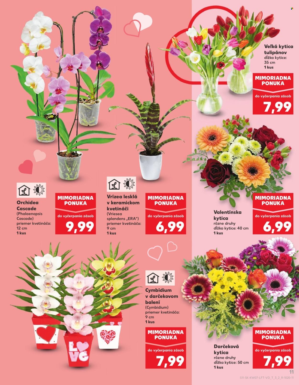 KAUFLAND leták - Od štvrtka 12.2.2026 (2026-02-12 - 2026-02-18) | 11