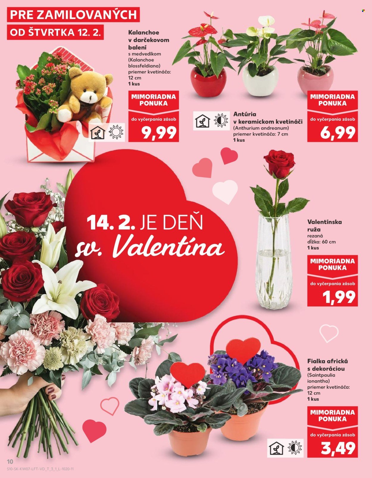 KAUFLAND leták - Od štvrtka 12.2.2026 (2026-02-12 - 2026-02-18) | 10