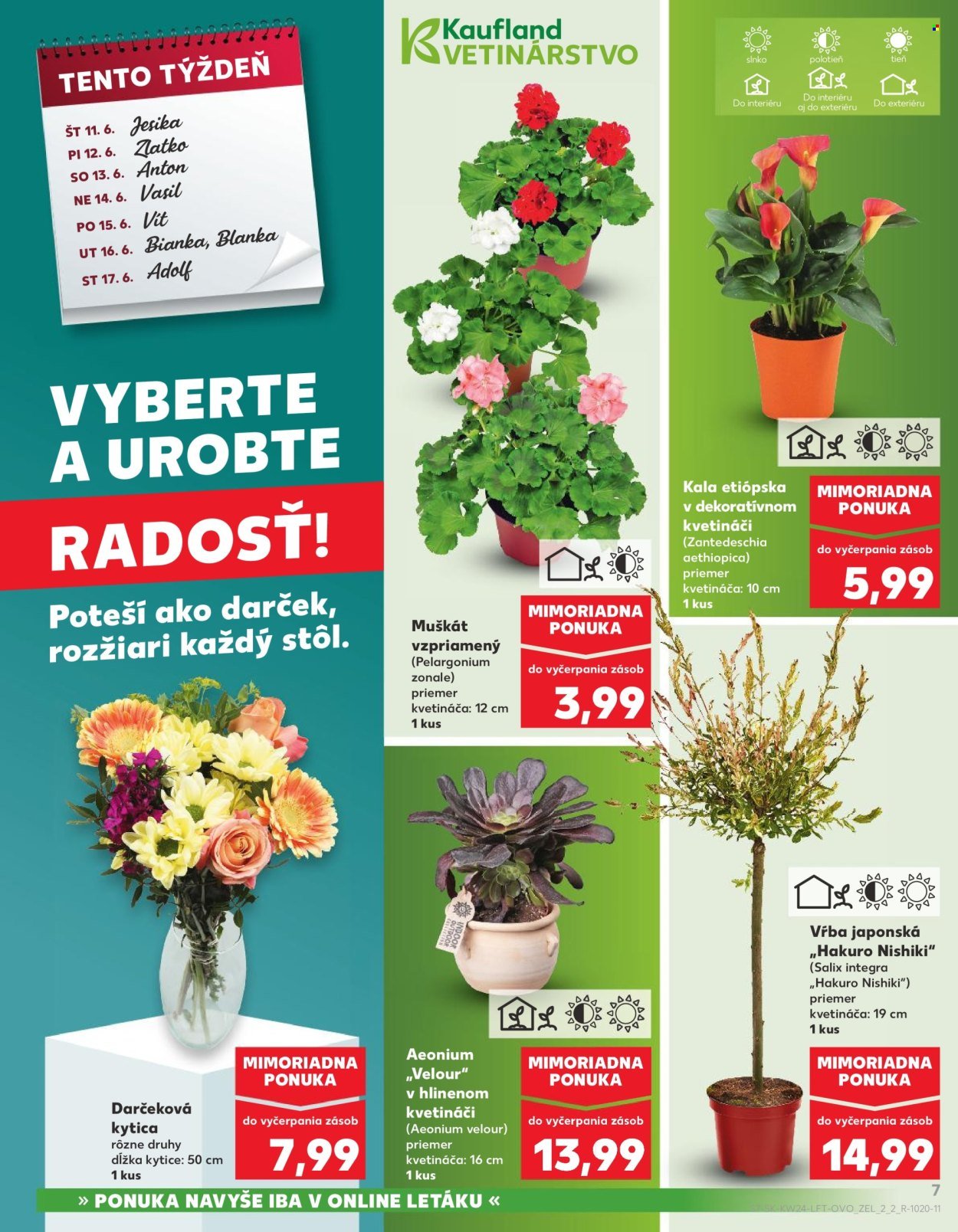 KAUFLAND leták - Od štvrtka 11.6.2026
