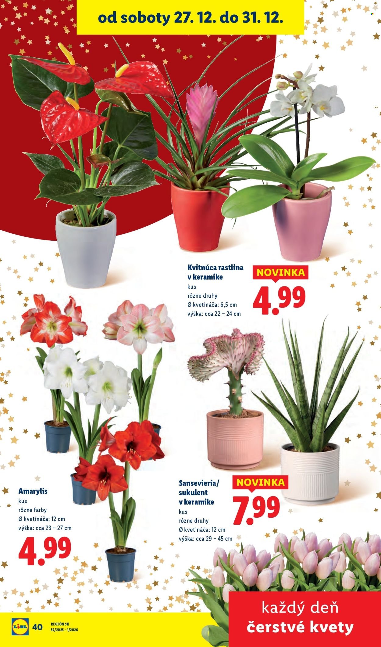 LIDL leták - Od soboty 27.12.2025 (2025-12-27 - 2025-12-31) | 50