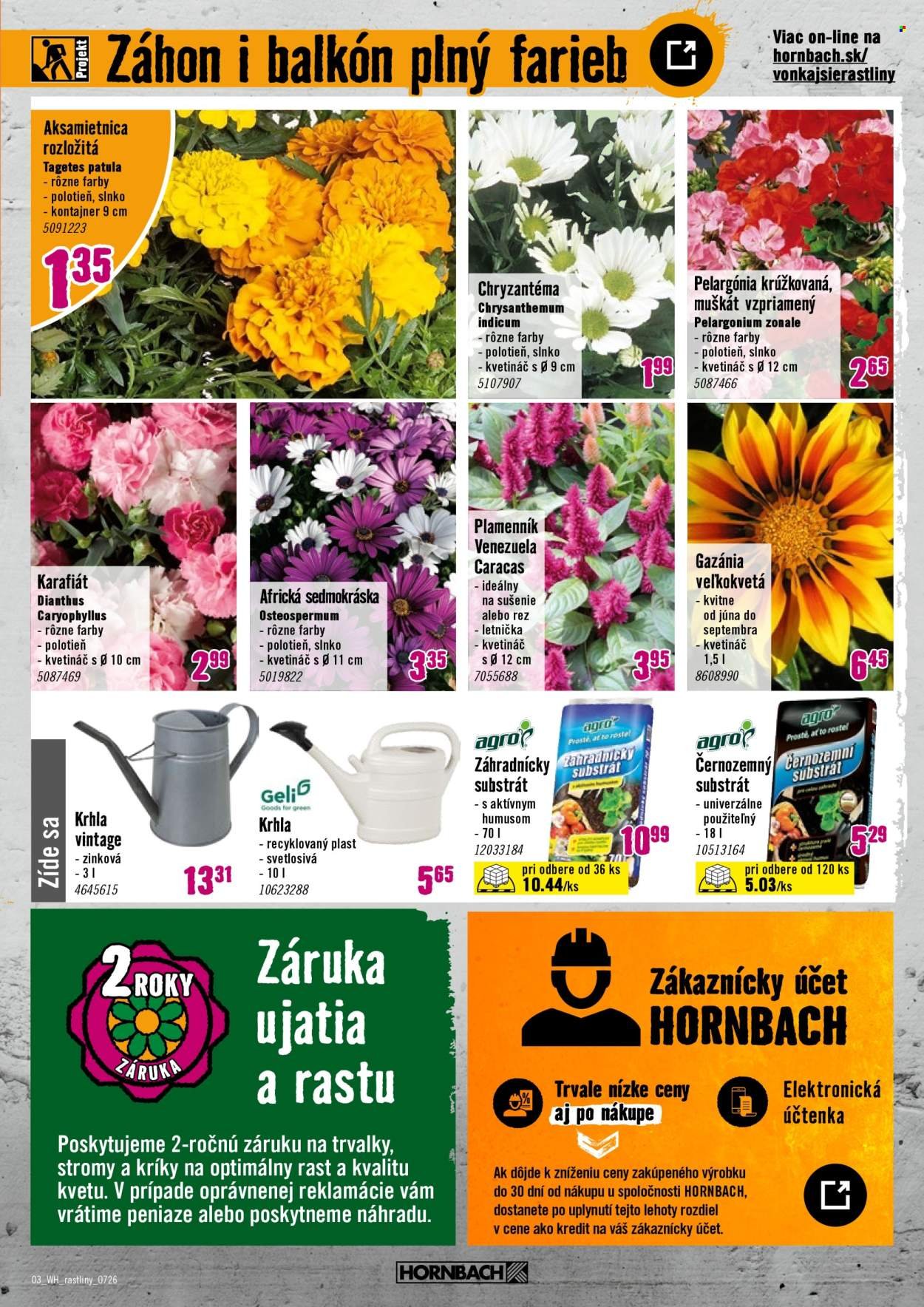 HORNBACH leták - Váš ďalší projekt - Letničky