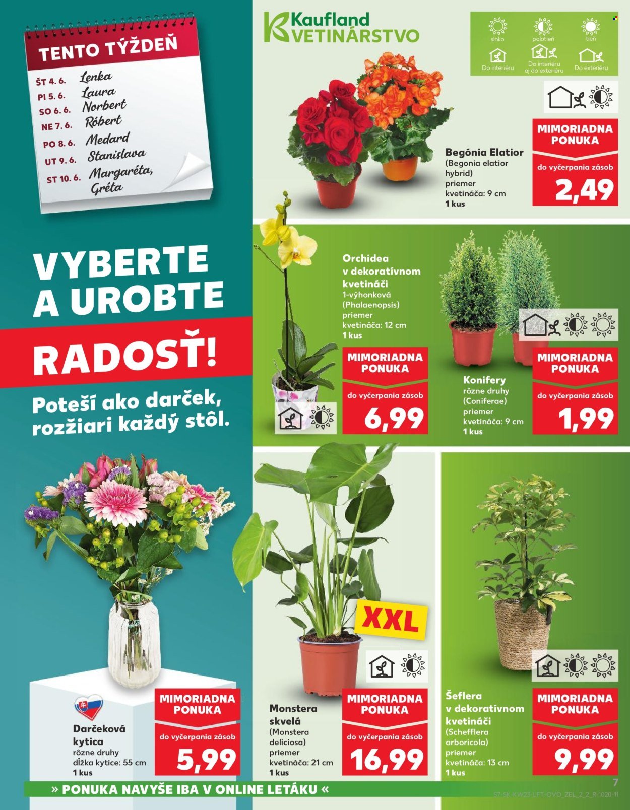 KAUFLAND leták - Od štvrtka 4.6.2026
