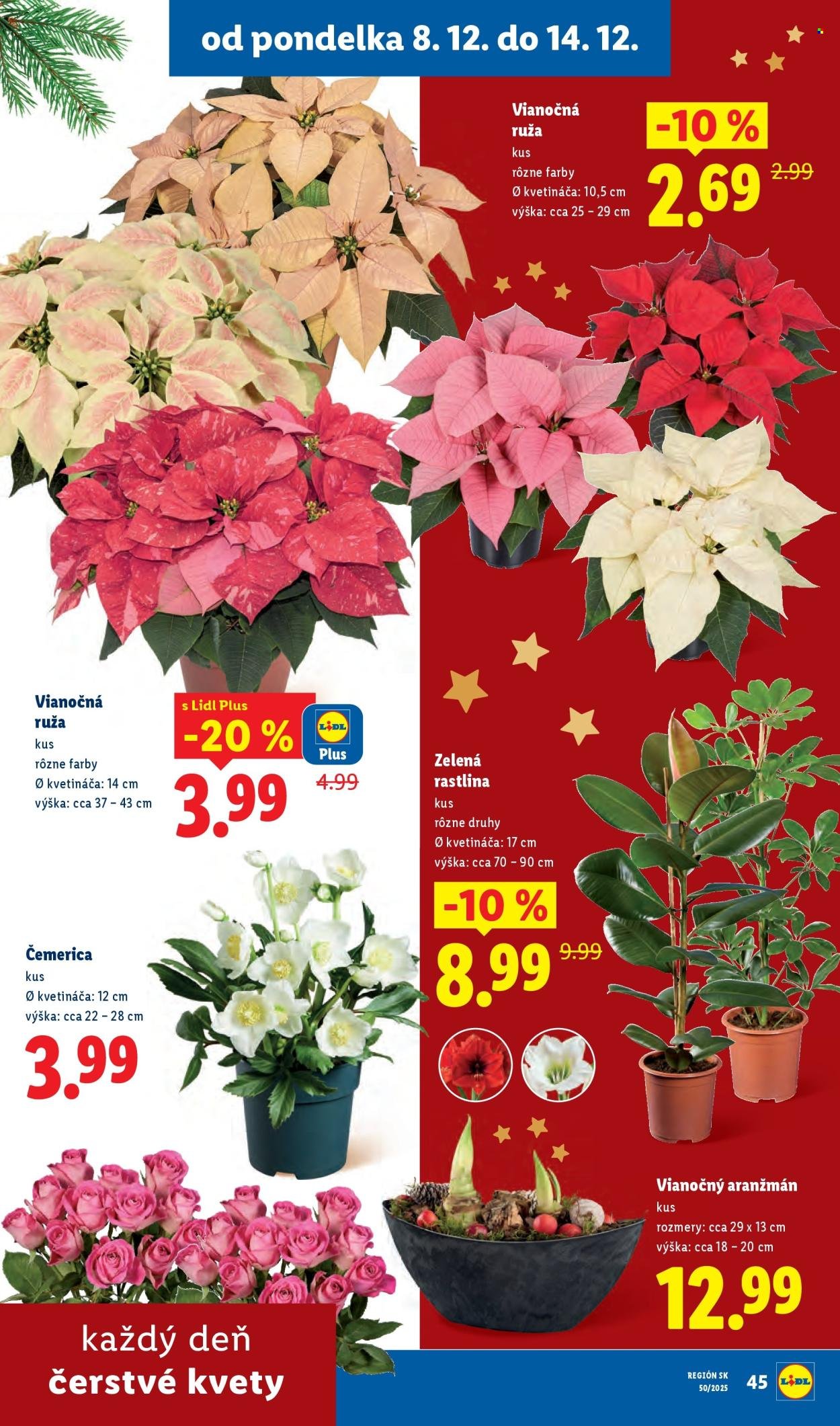 LIDL leták - Od štvrtka 11.12.2025 (2025-12-11 - 2025-12-14) | 79