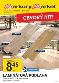 MERKURY MARKET leták - CENOVÝ HIT!