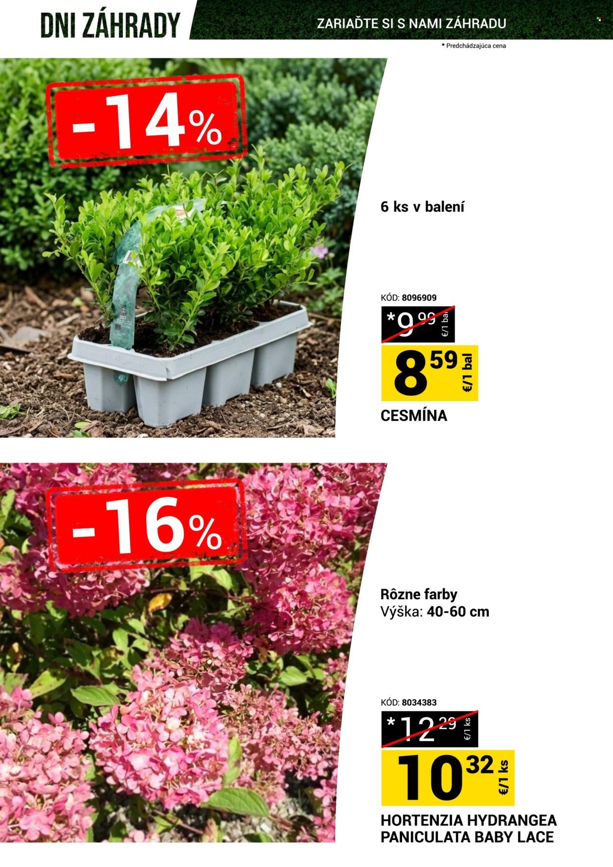 MERKURY MARKET leták - Dni záhrady (2026-04-18 - 2026-04-26) | 5