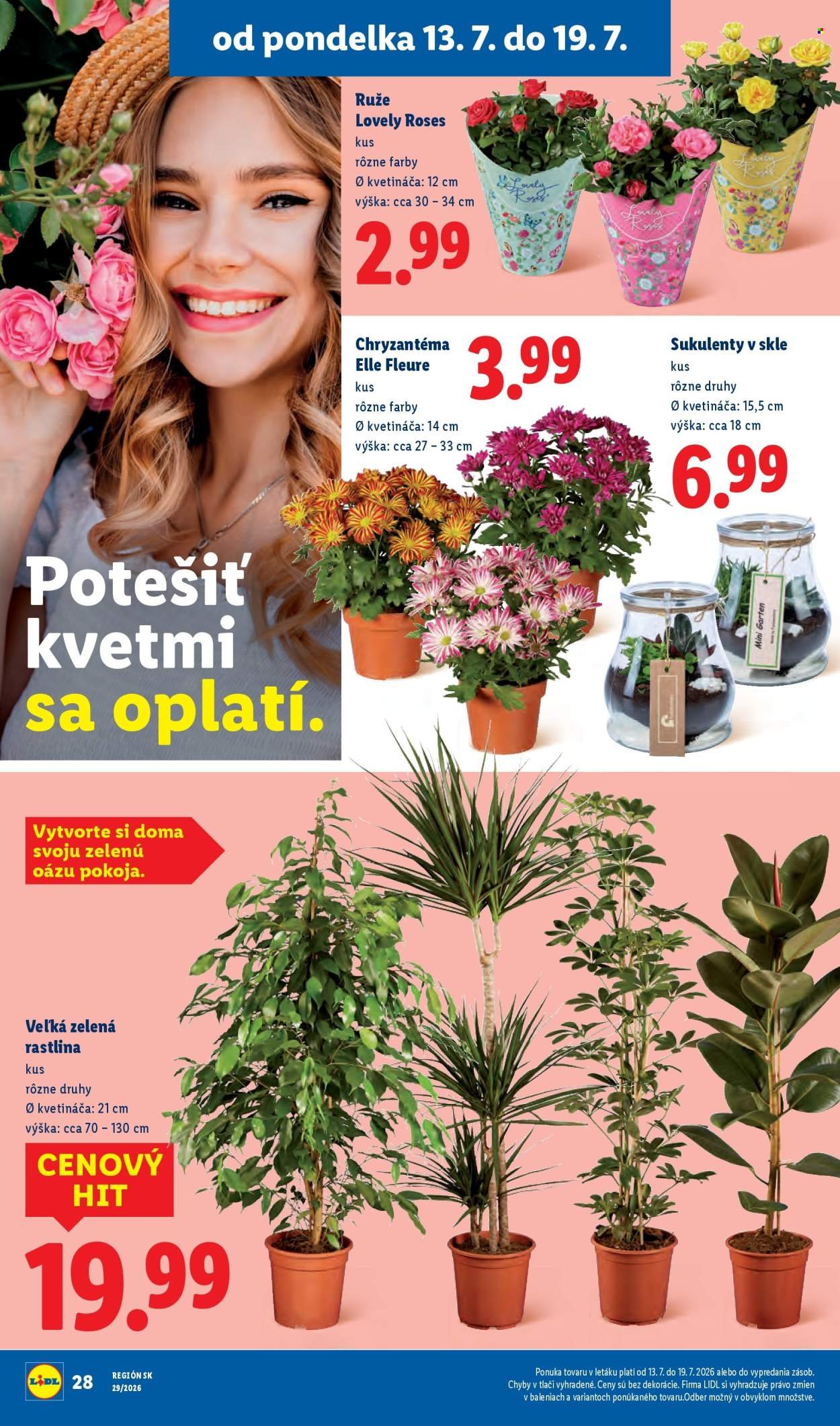LIDL leták - Od pondelka 13.7.2026