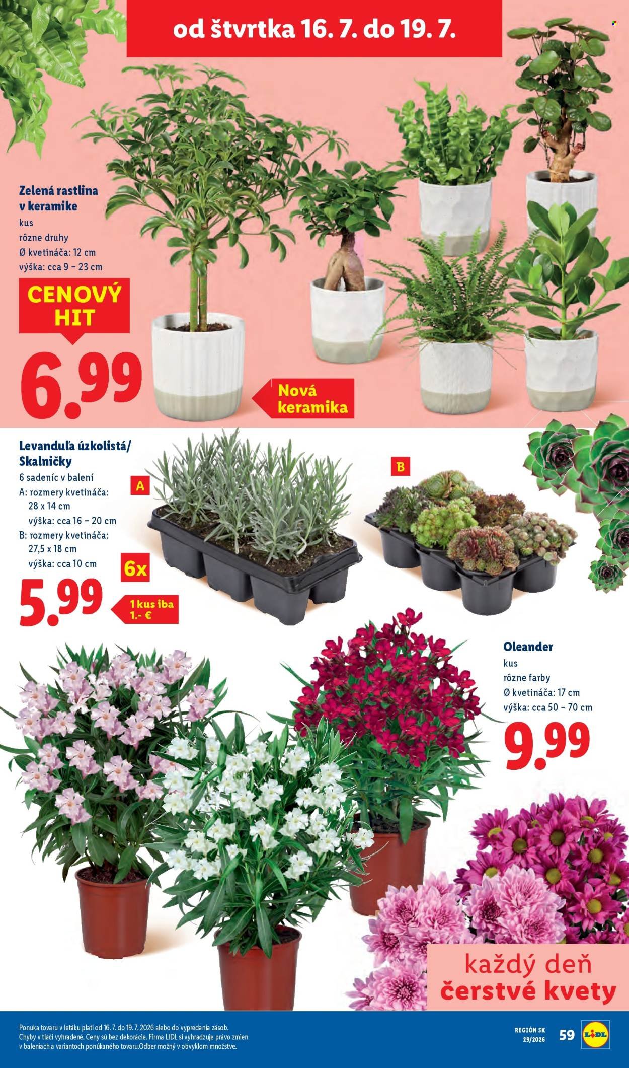 LIDL leták - Od pondelka 13.7.2026