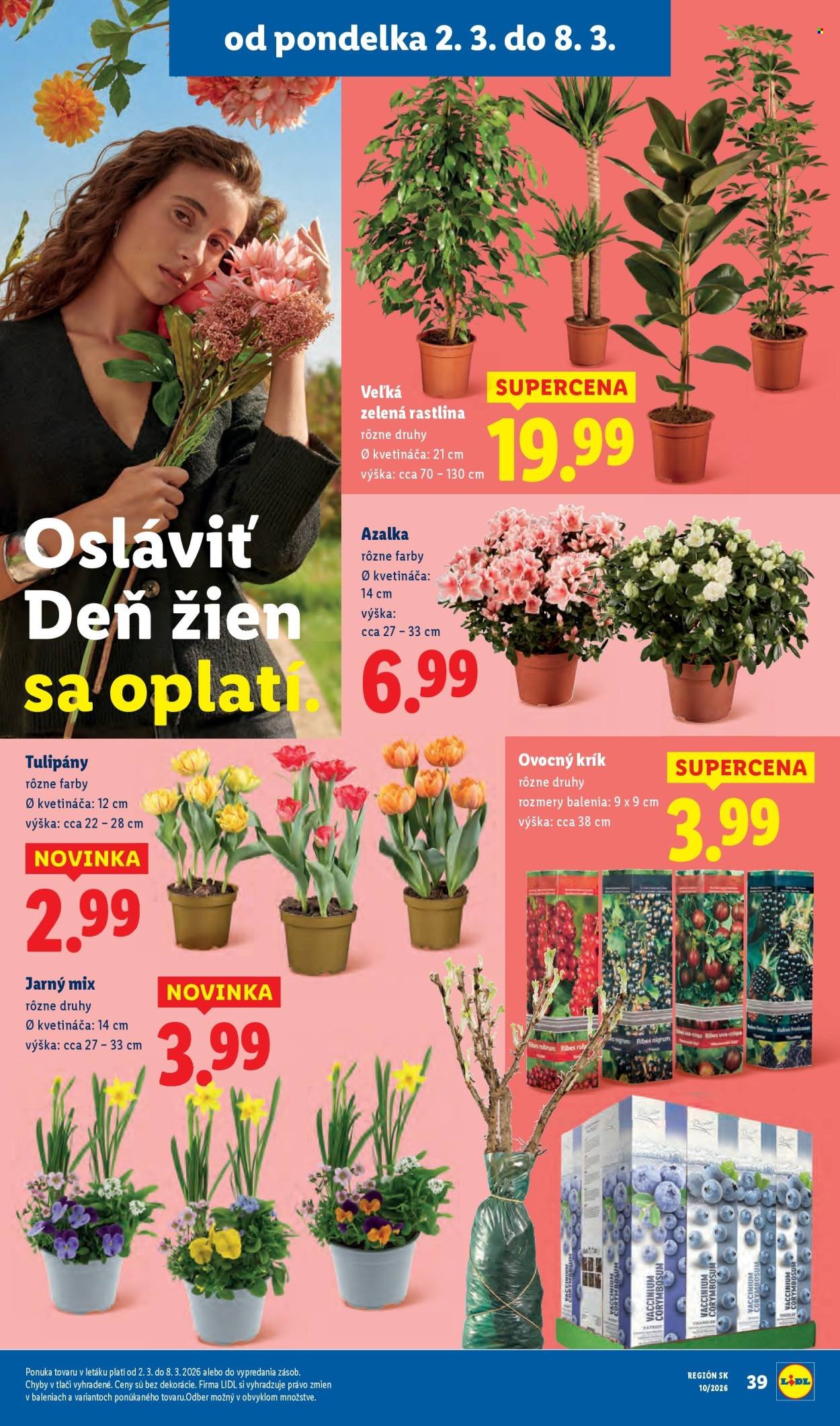 LIDL leták - Od štvrtka 5.3.2026 (2026-03-05 - 2026-03-08) | 79