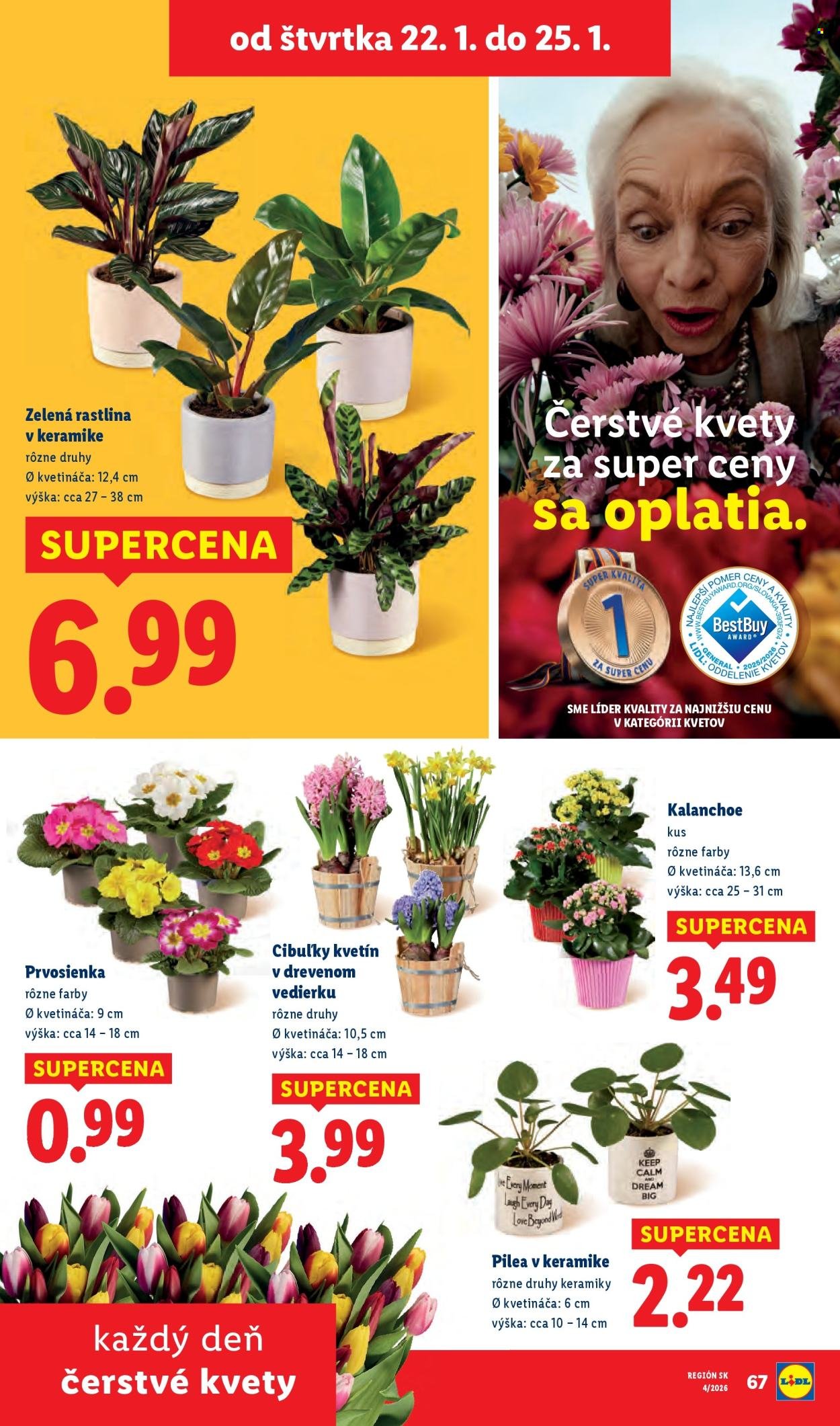 LIDL leták - Od štvrtka 22.1.2026 (2026-01-22 - 2026-01-25) | 15