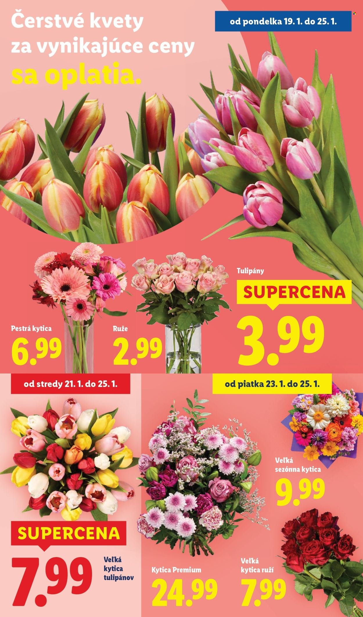 LIDL leták - Od štvrtka 22.1.2026 (2026-01-22 - 2026-01-25) | 79