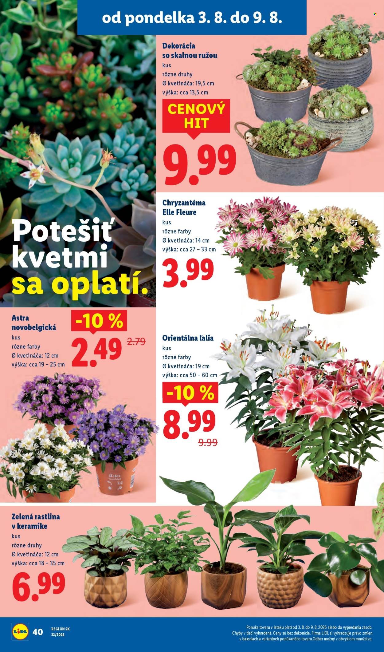 LIDL leták - Od pondelka 3.8.2026