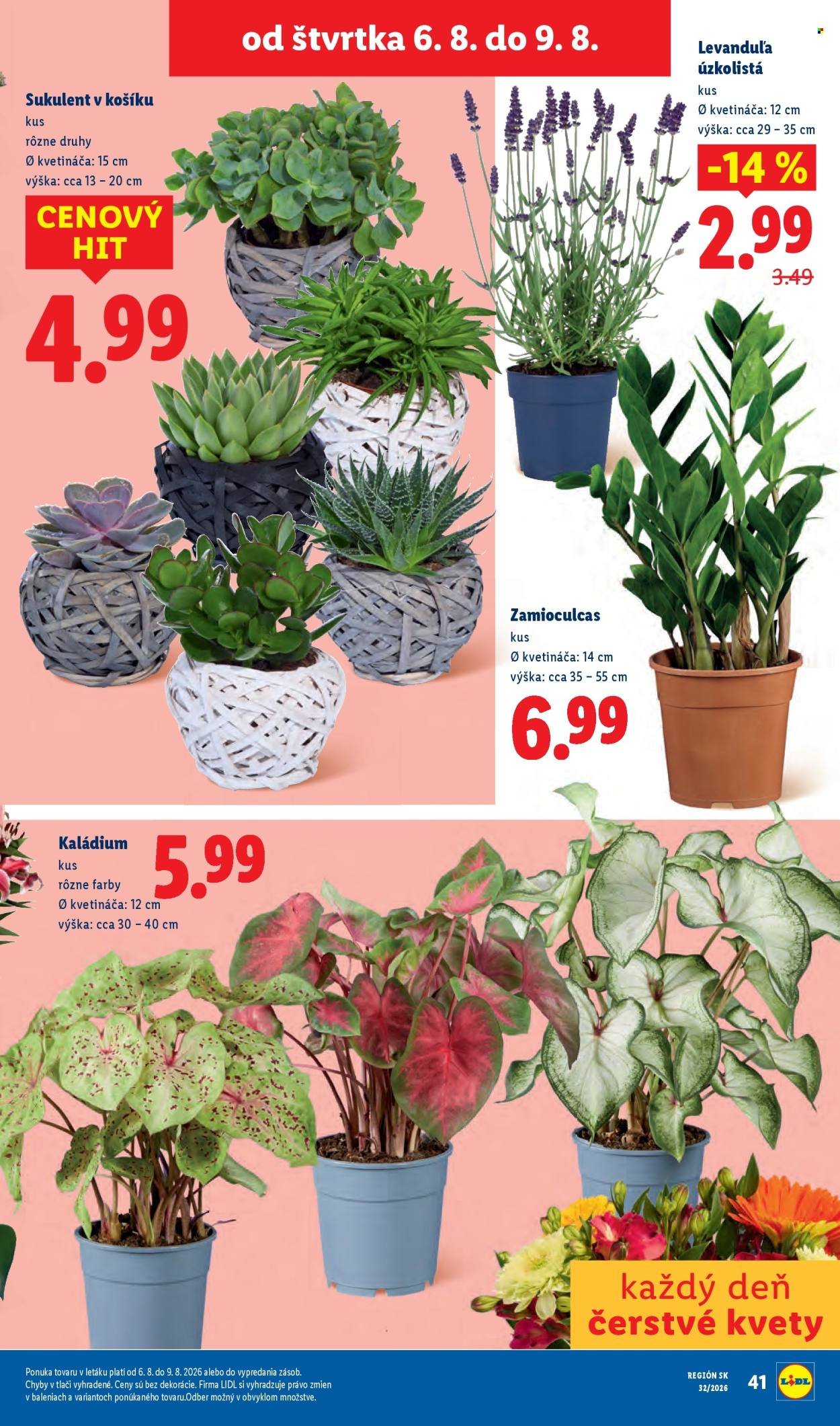 LIDL leták - Od pondelka 3.8.2026