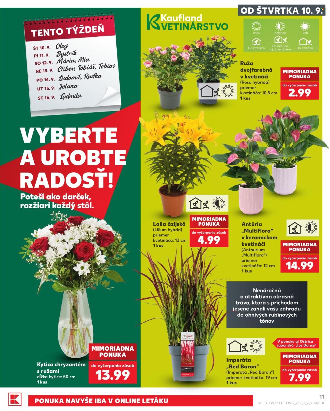 KAUFLAND leták - Od štvrtka 10.9.2026