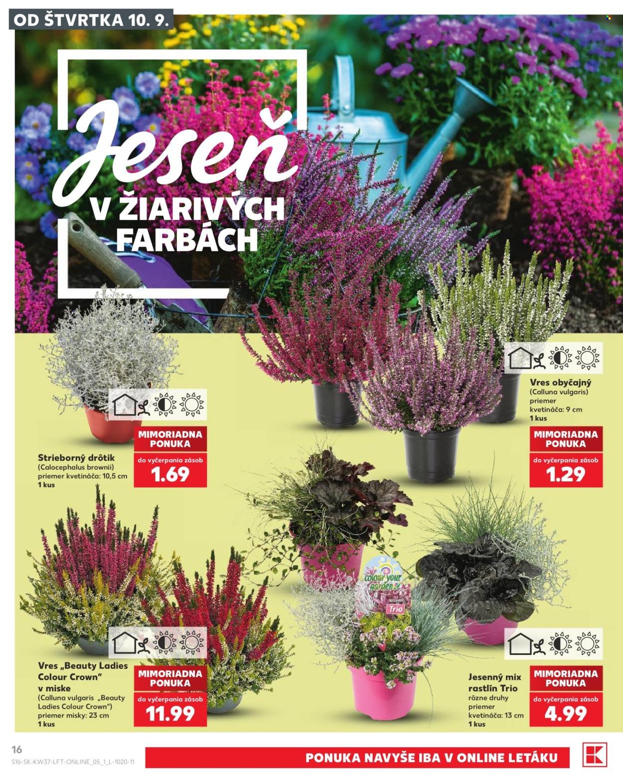 KAUFLAND leták - Od štvrtka 10.9.2026