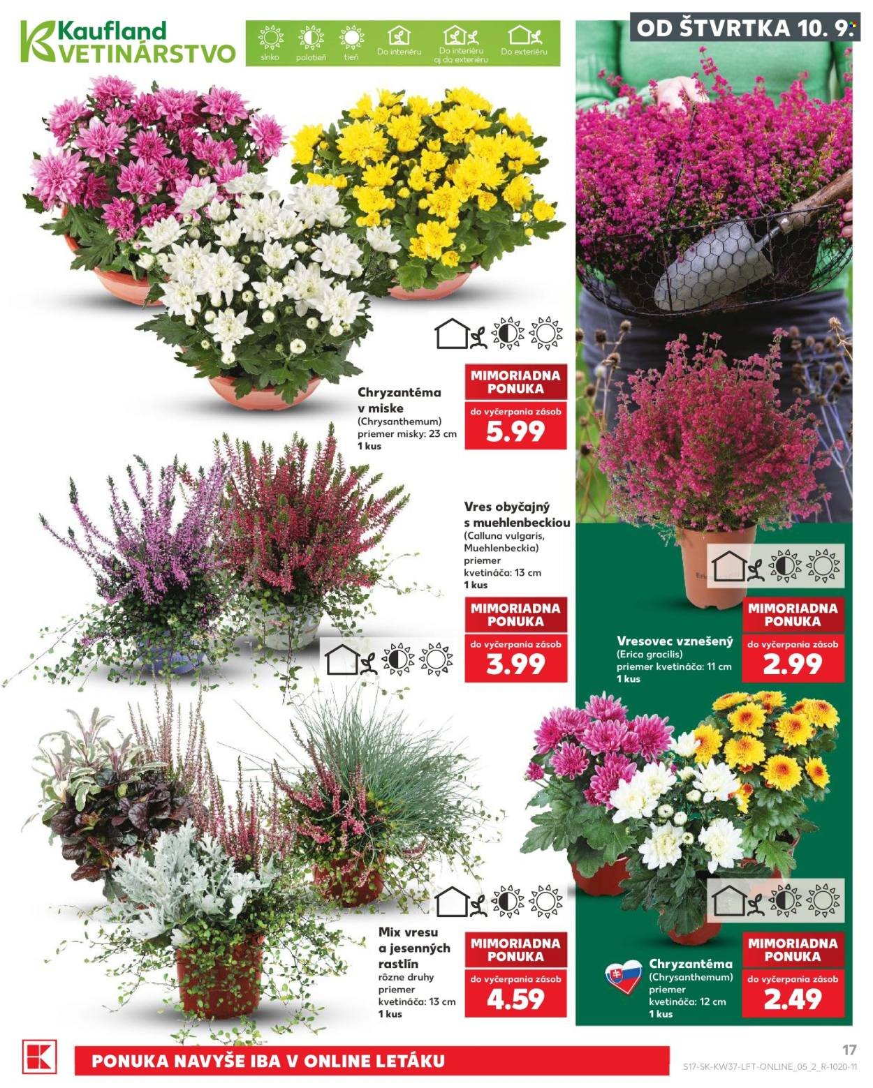 KAUFLAND leták - Od štvrtka 10.9.2026