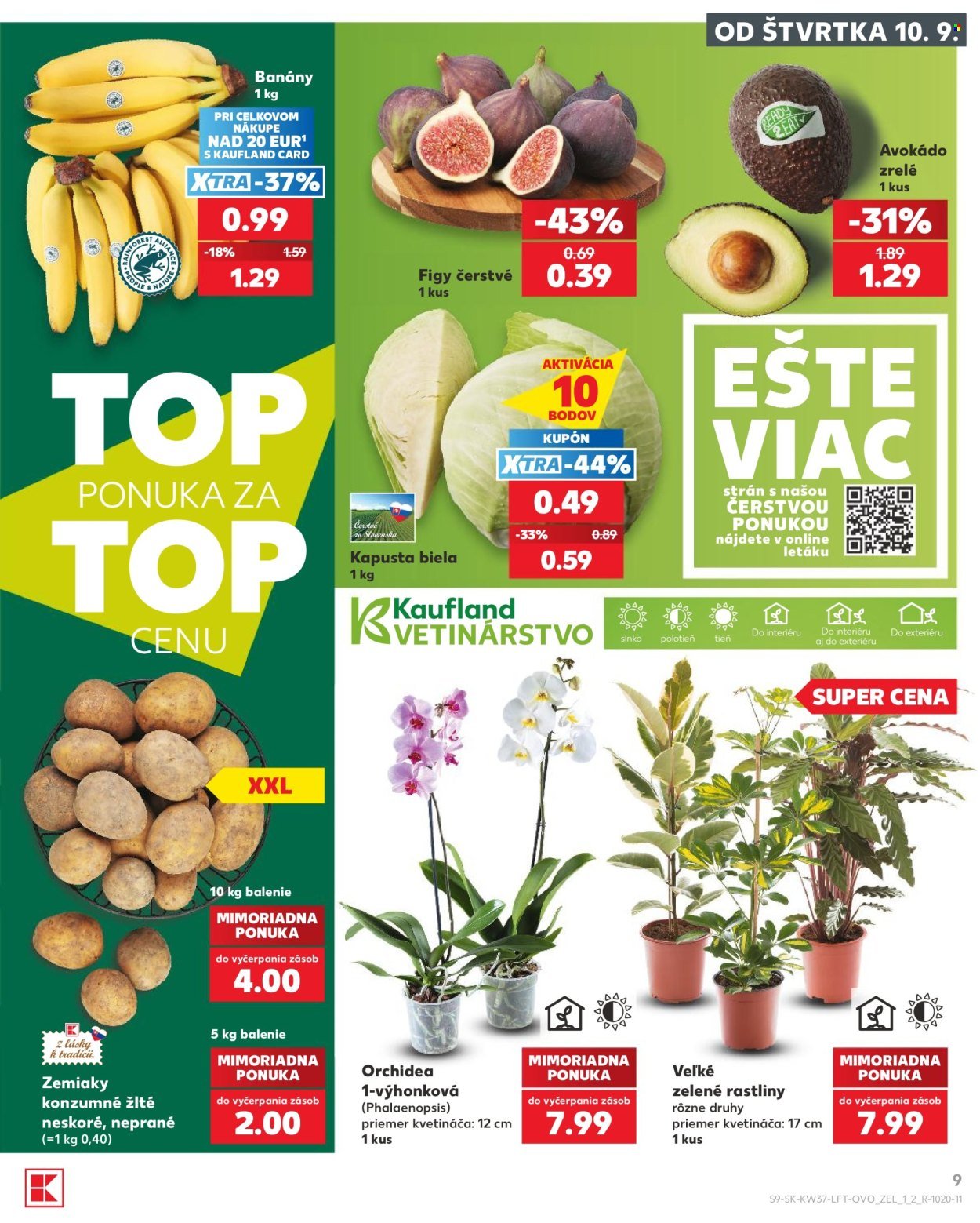 KAUFLAND leták - Od štvrtka 10.9.2026