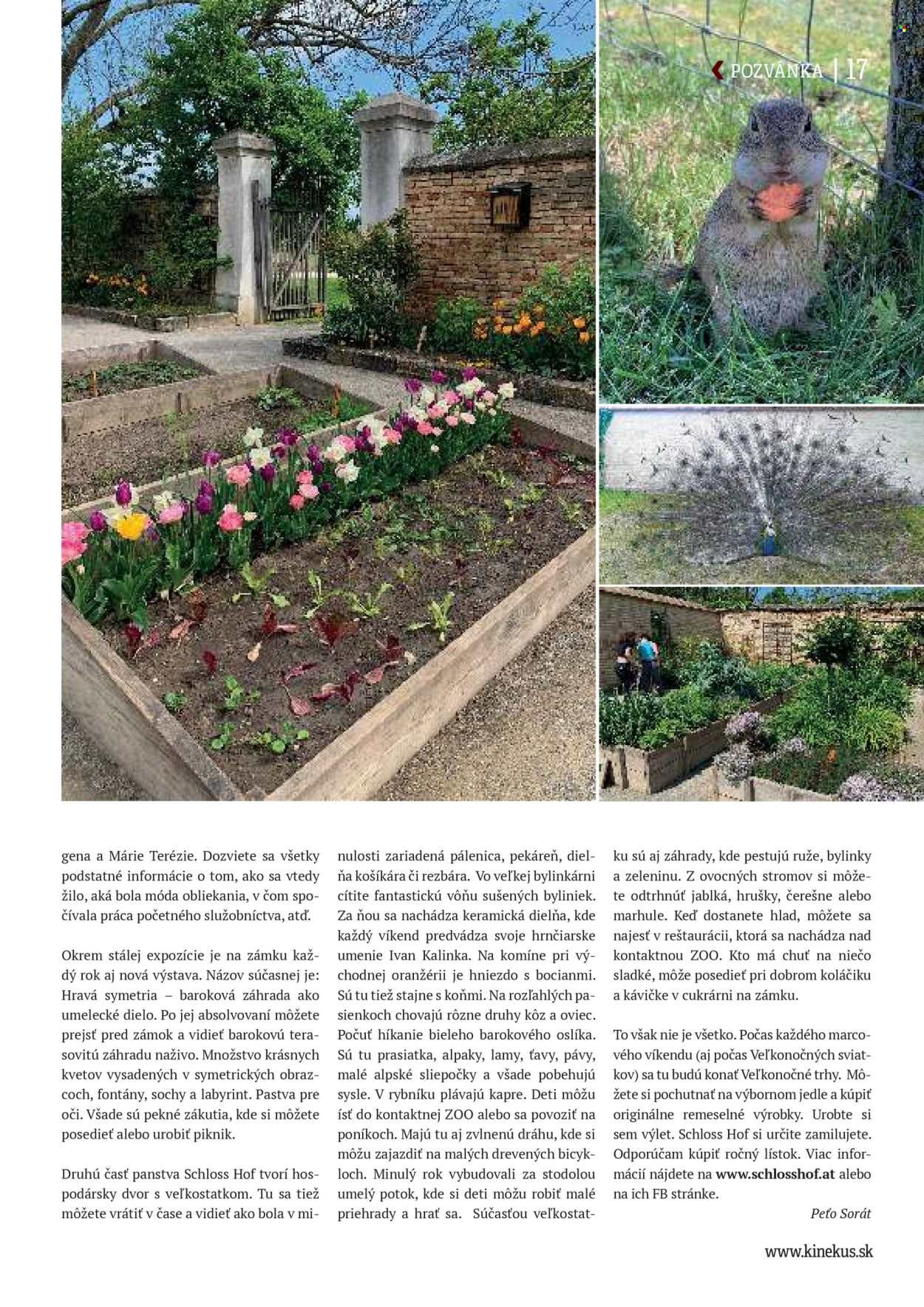 KINEKUS leták - K-Magazín JAR 2026 (2026-03-27) | 17