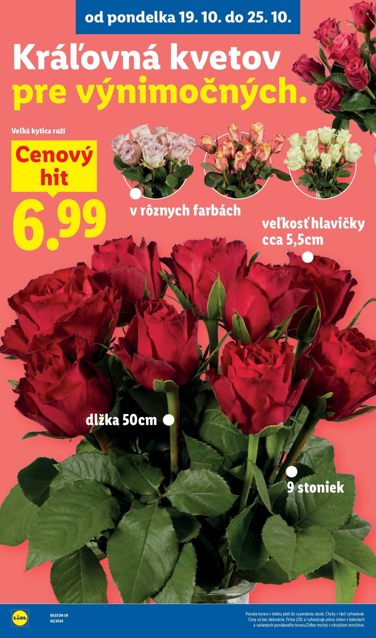 LIDL leták - Od pondelka 19.10.2026