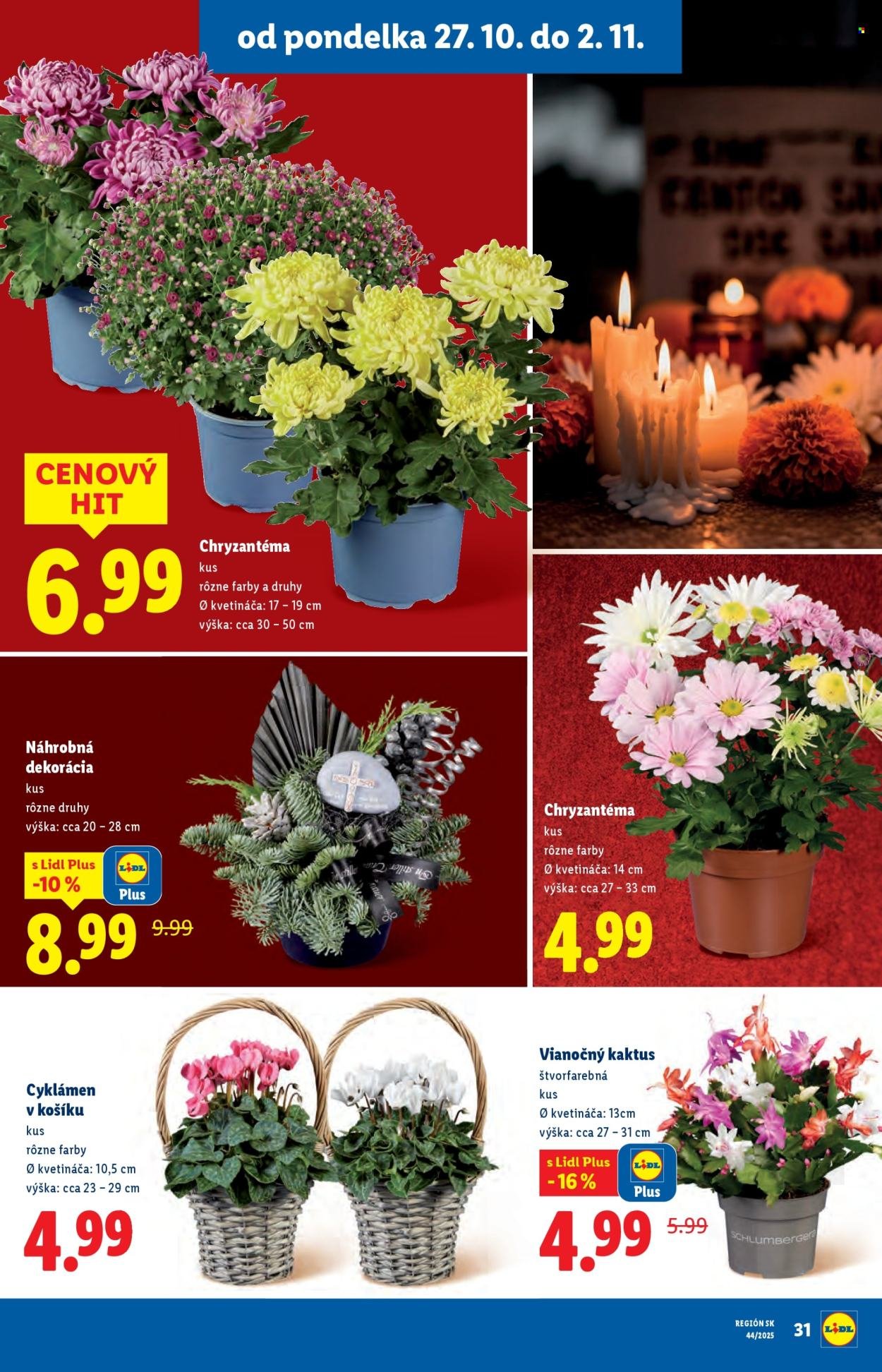 LIDL leták - Od pondelka 27.10.2025 (2025-10-27 - 2025-11-02) | 41