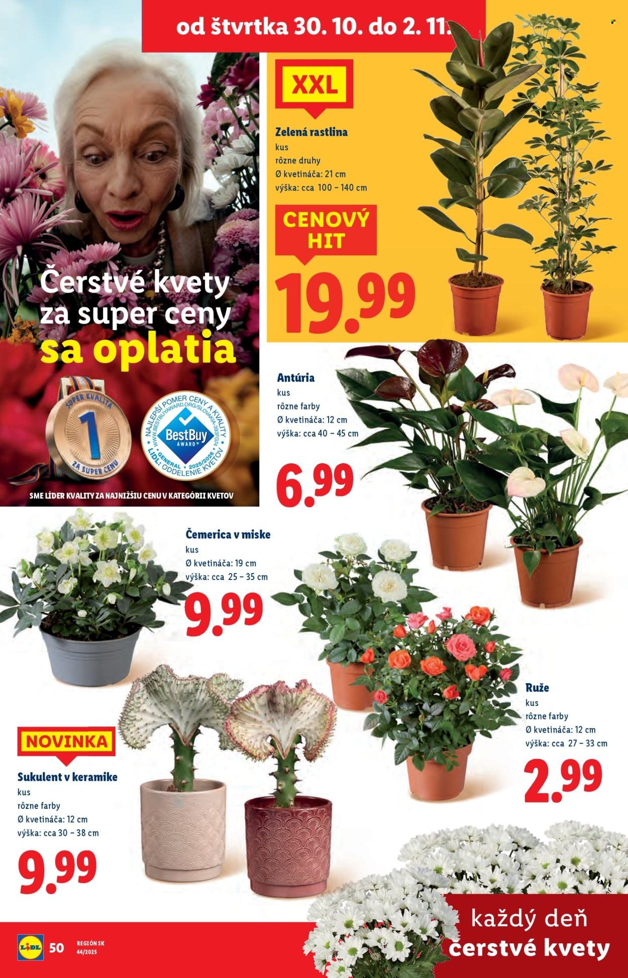 LIDL leták - Od pondelka 27.10.2025 (2025-10-27 - 2025-11-02) | 77