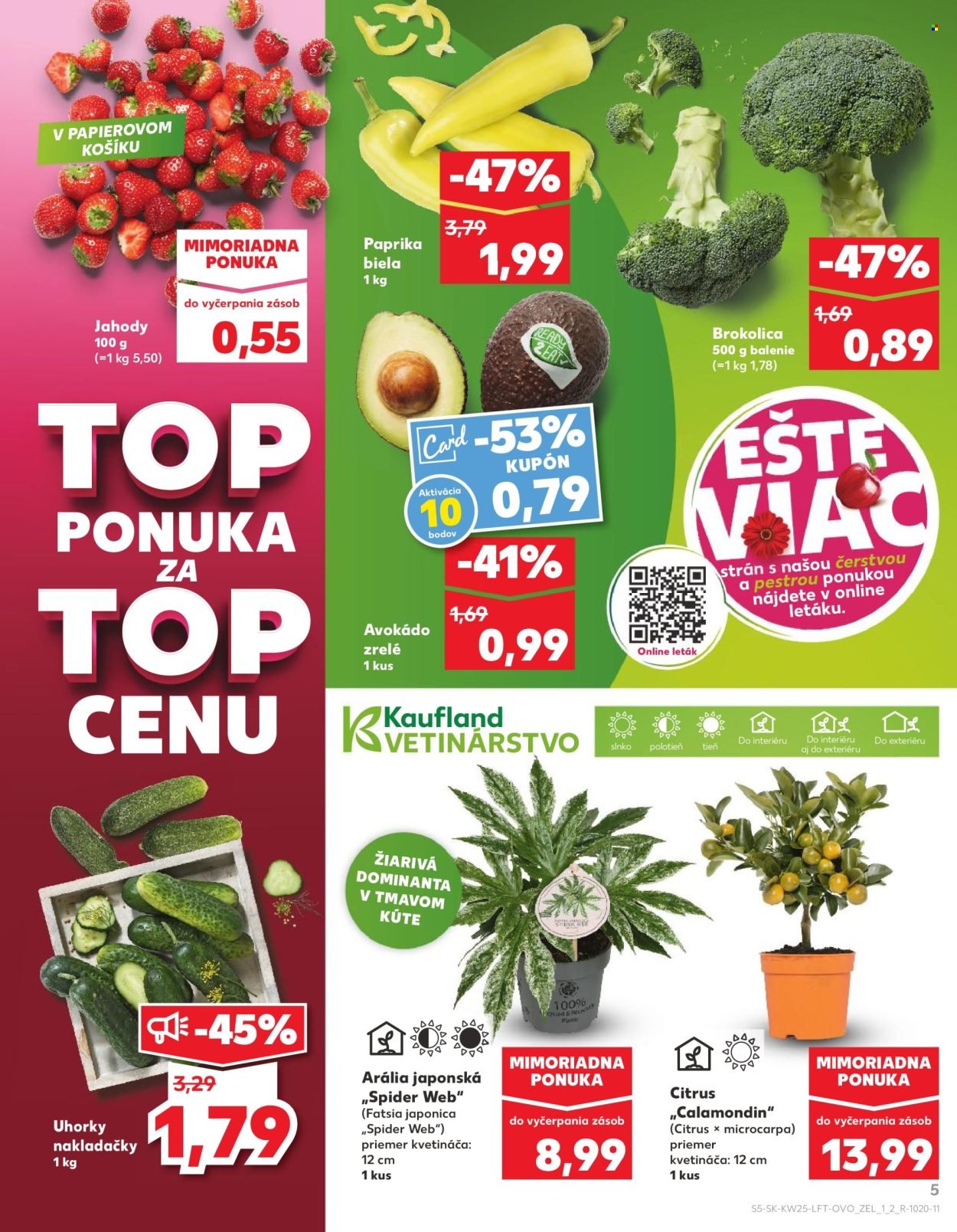 KAUFLAND leták - Od štvrtka 18.6.2026