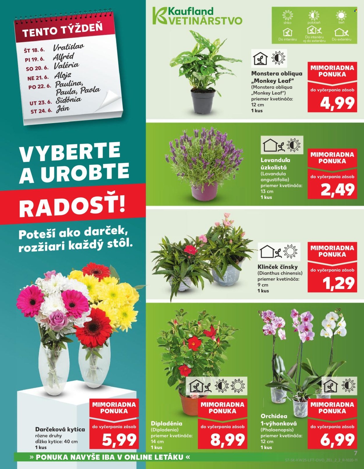 KAUFLAND leták - Od štvrtka 18.6.2026